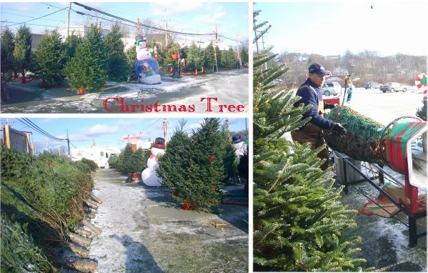ツリーの上にはエンジェル | アトランティックカナダのクリスマス