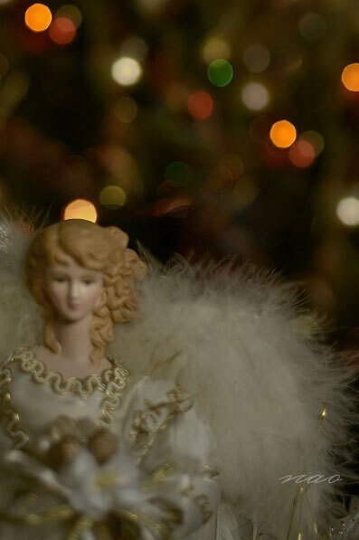 ツリーの上にはエンジェル | アトランティックカナダのクリスマス