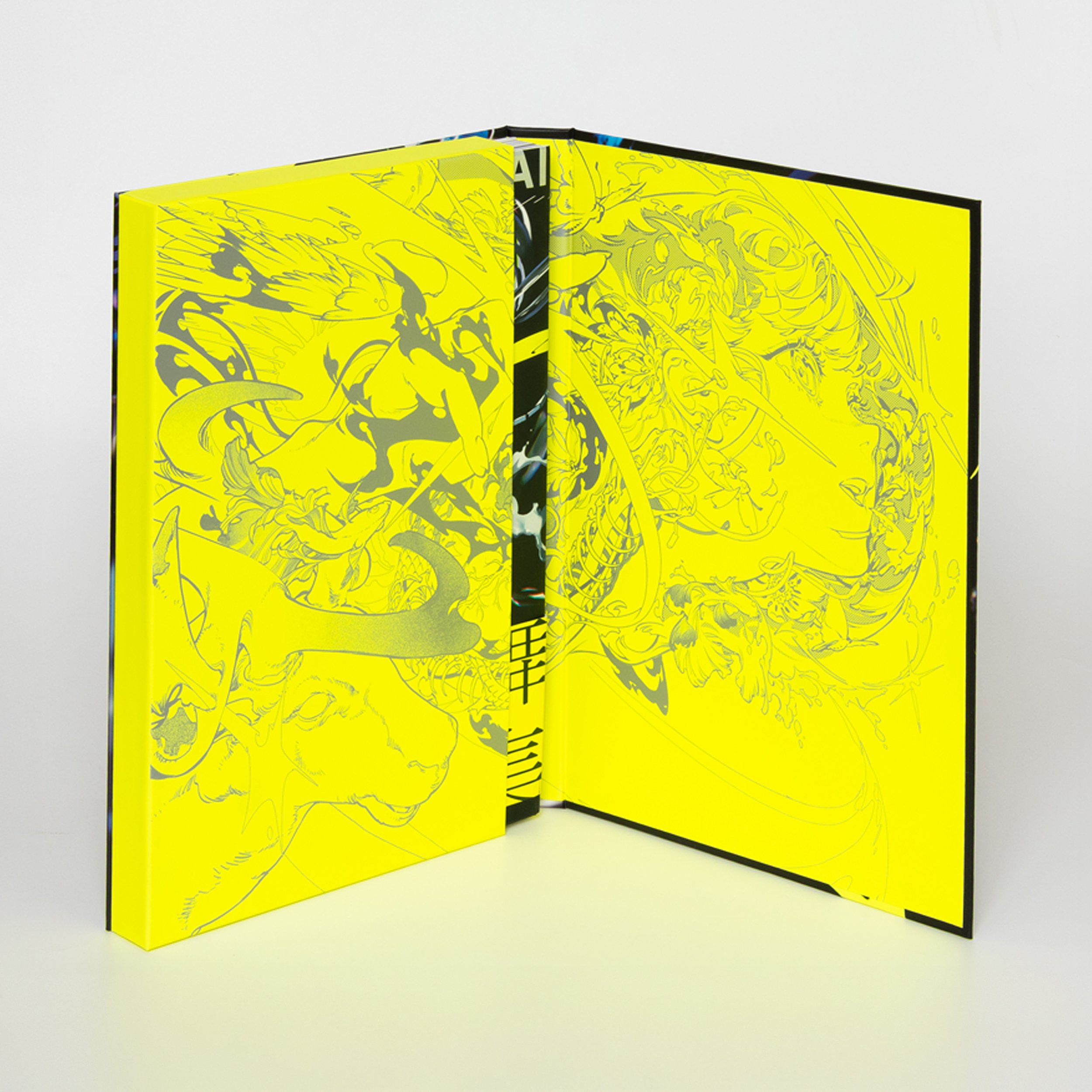 絵が動いて見えるとはどういうことなのか？ - 【YONEYAMA MAI