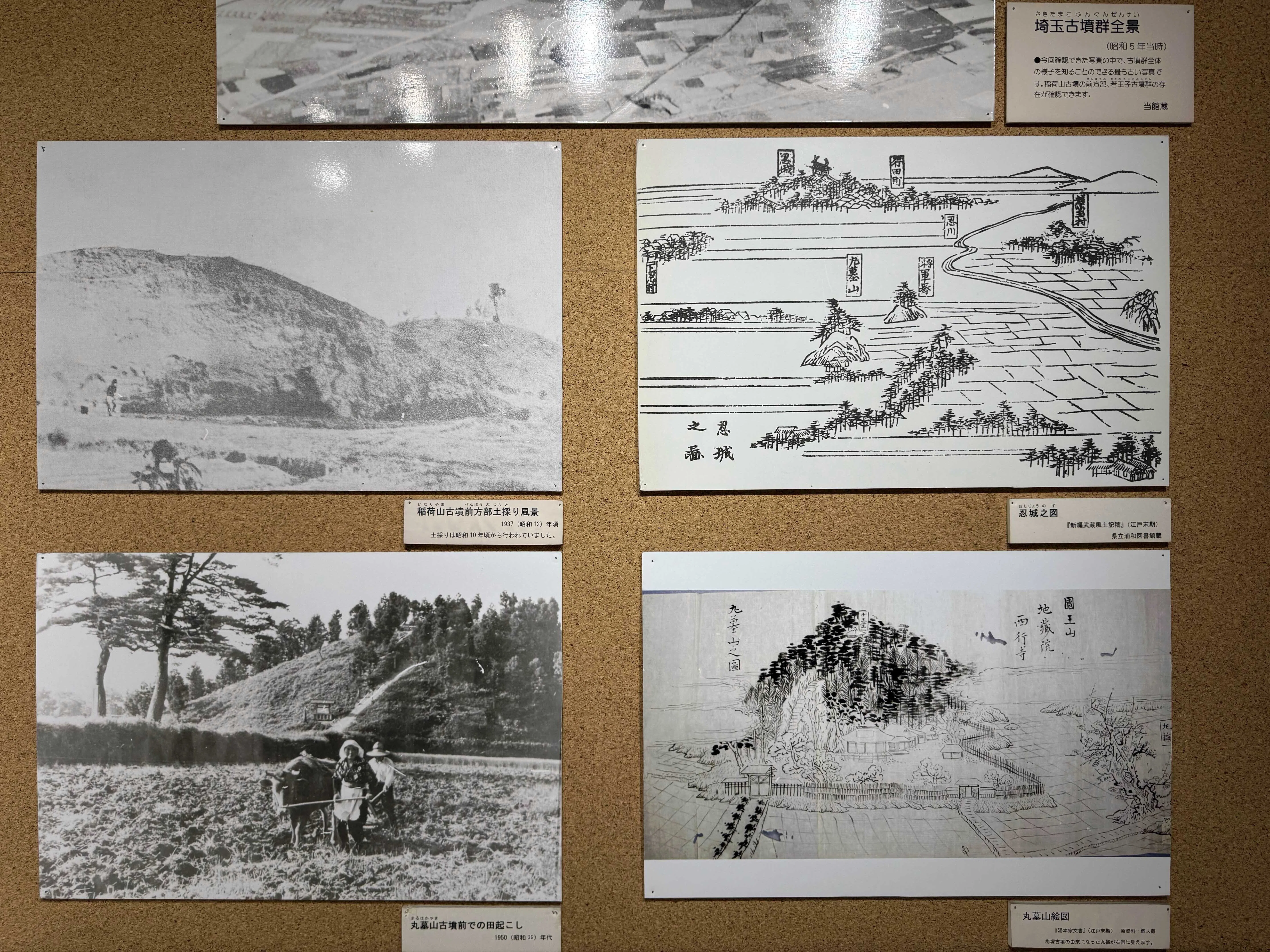 美術展2025#105】埼玉古墳群＠埼玉県立さきたま史跡の博物館｜mata