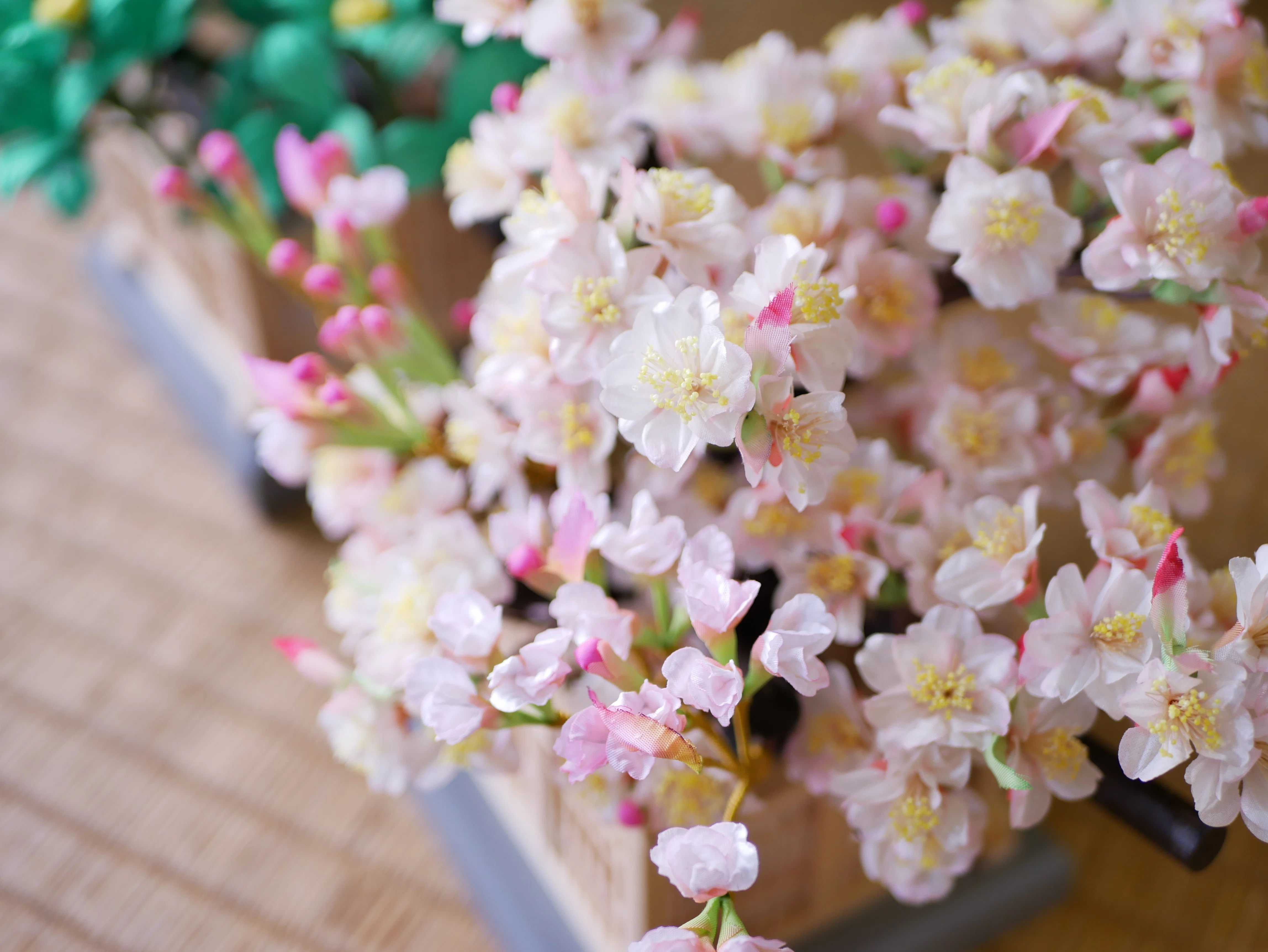 お雛様の飾り方」お雛様をきれいに見せる基本型➅ 桜と橘のこと