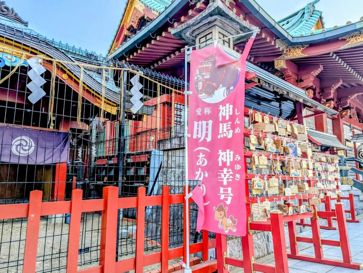 2026年 午年オススメのパワースポット 東京都千代田区の神田神社(明神)の御神馬のあかりちゃん|神社仏閣巡り大好き@クローバー