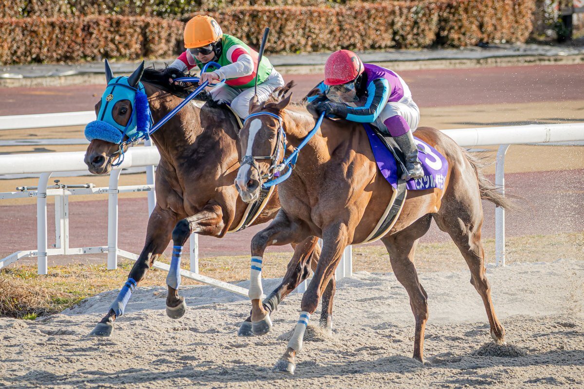 カメラ何もわかんないけど競馬写真を撮ってみよう｜あまに