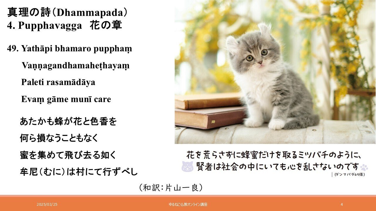 非暴力の完成 ダンマパダで学ぶ牟尼（聖者）の心1｜ゆるねこ仏教