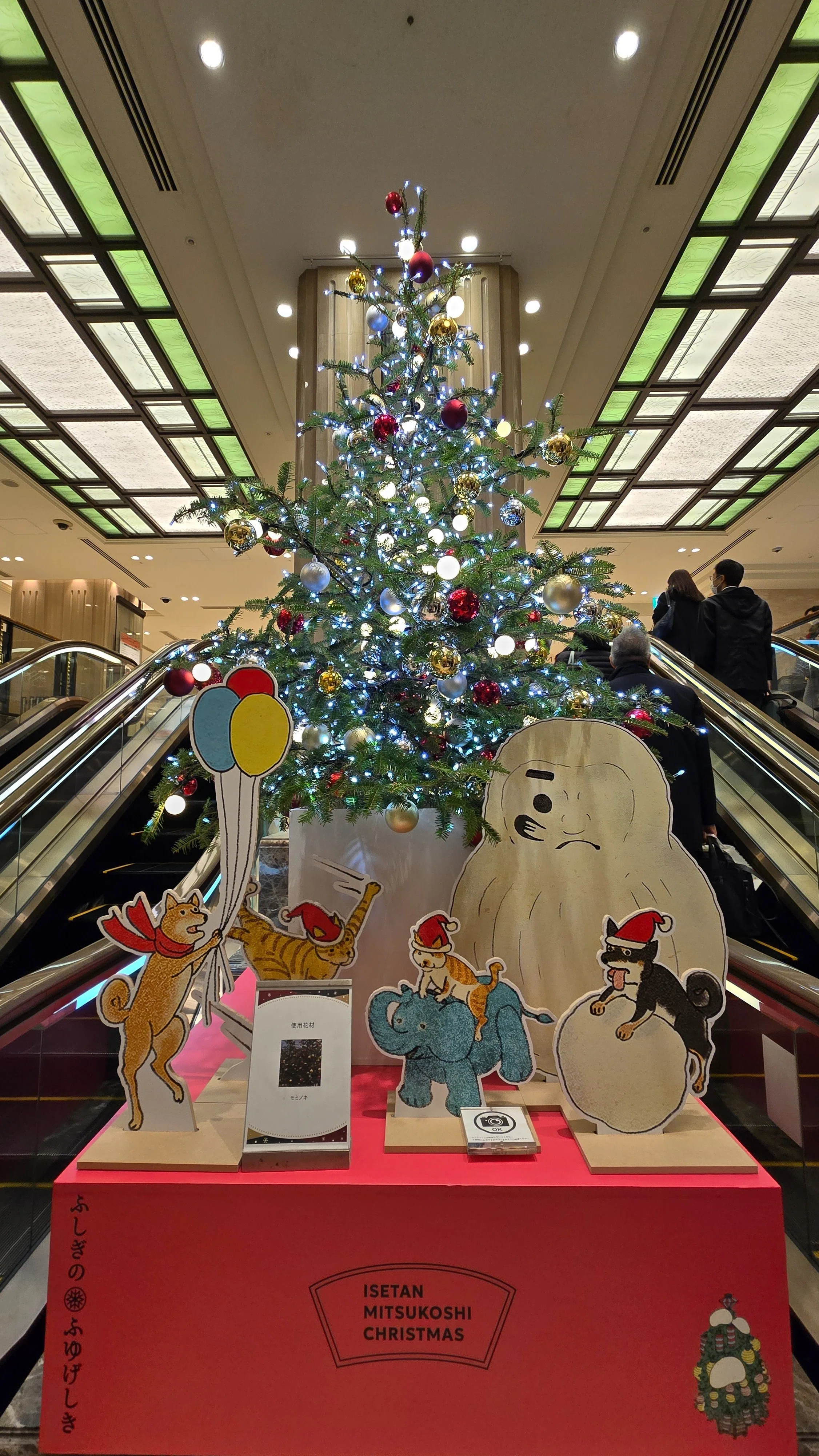 日本橋のクリスマス✨🎄✨パイプオルガンミニコンサートとパディン