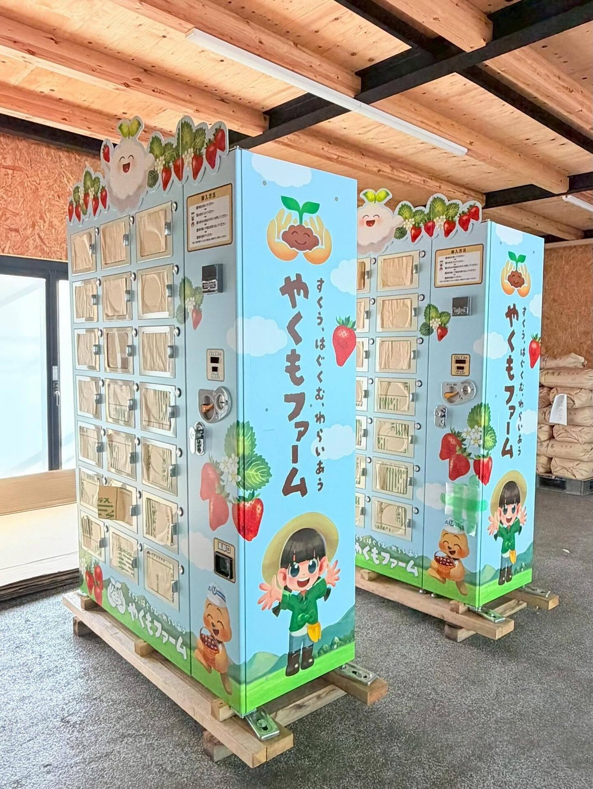 🍓いちごの自動販売機が完成しました