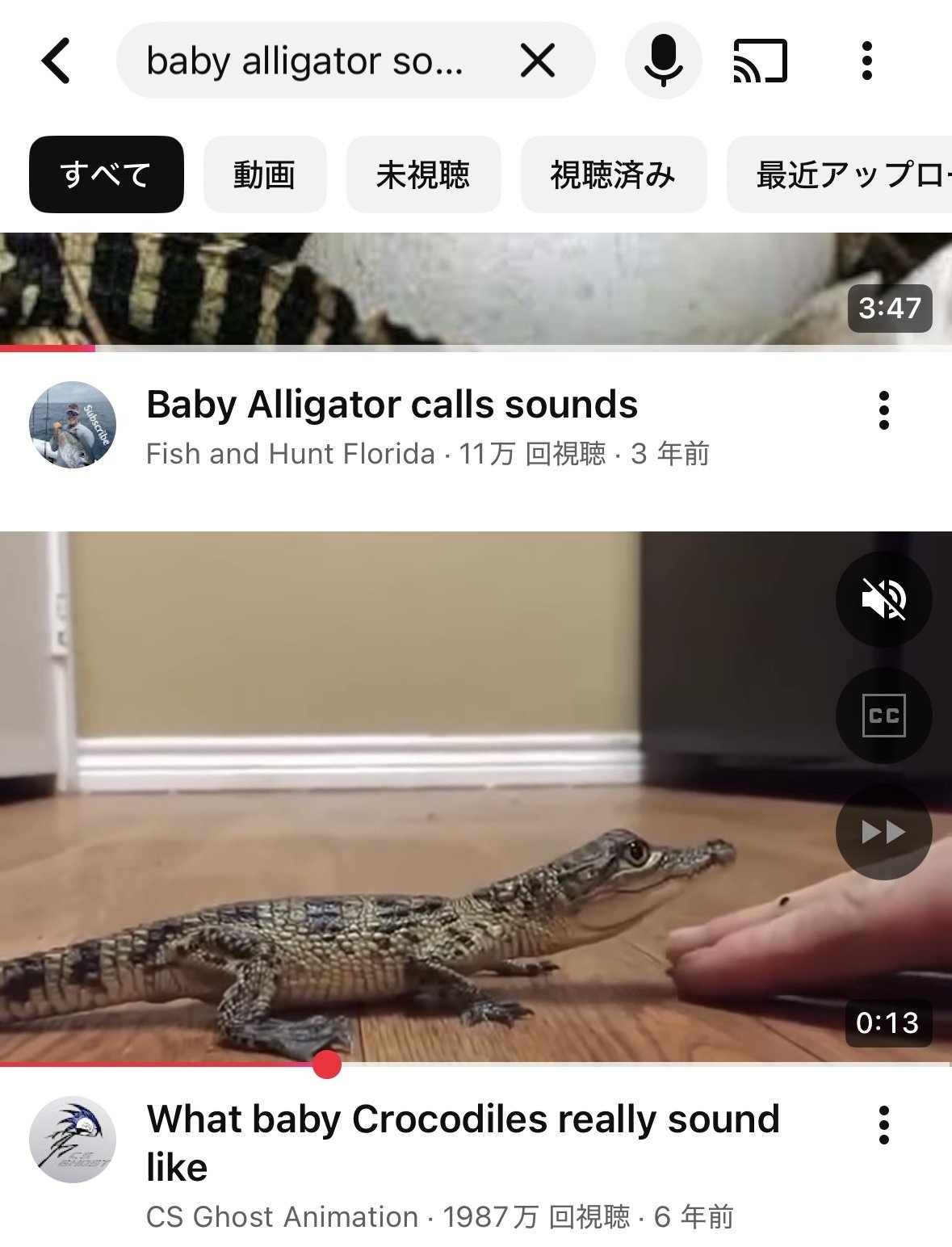 貴重な赤ちゃんワニの鳴き声”を聞こうと国立科学博物館の企画展「ワニ