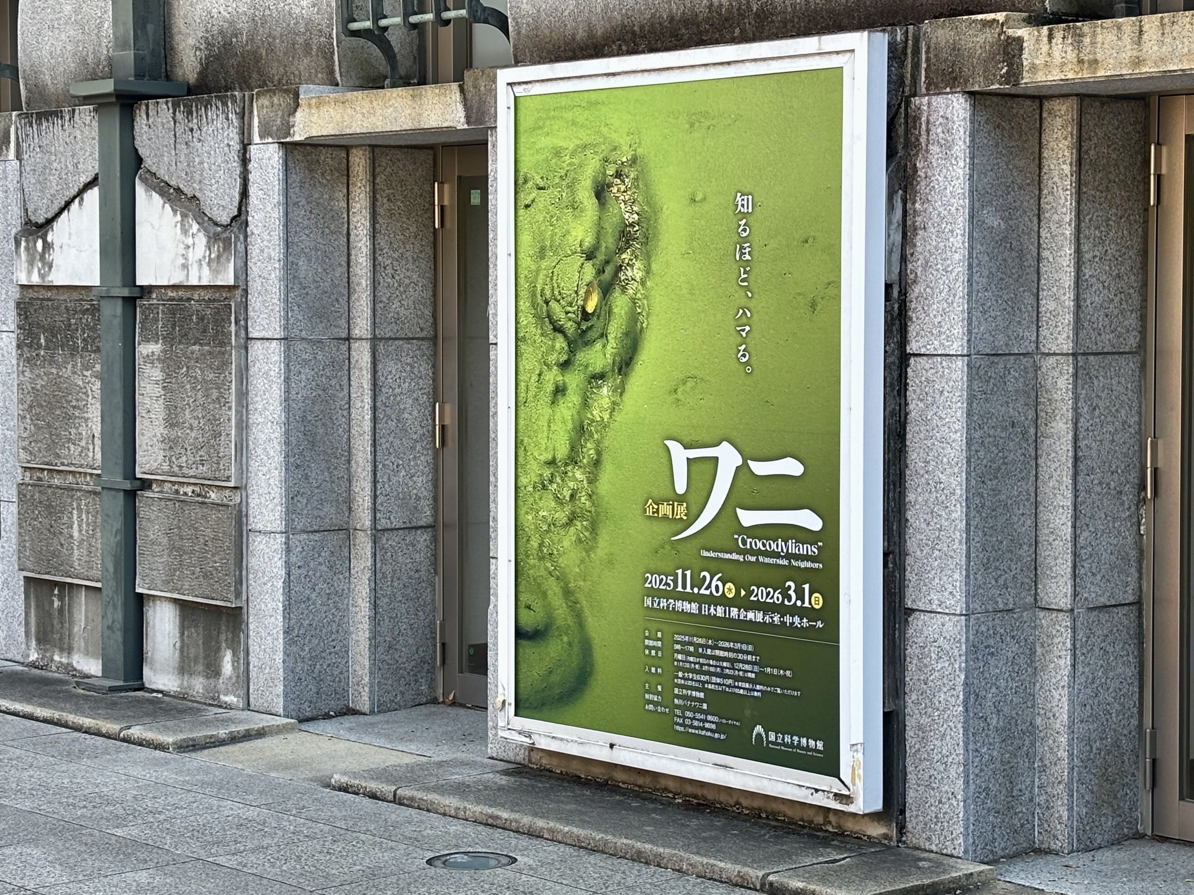 貴重な赤ちゃんワニの鳴き声”を聞こうと国立科学博物館の企画展「ワニ