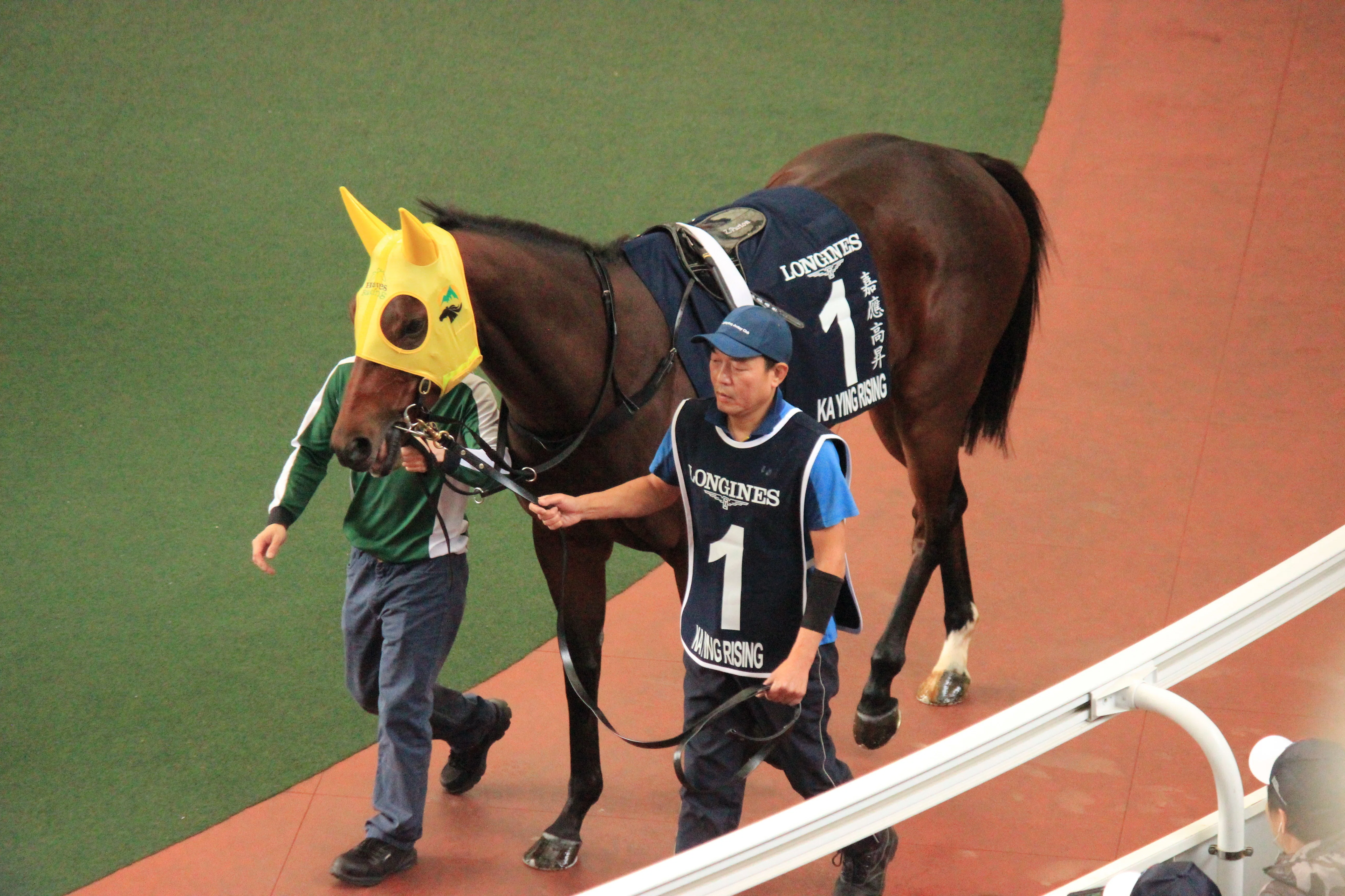 25香港国際競走 観戦日記｜梧桐樹