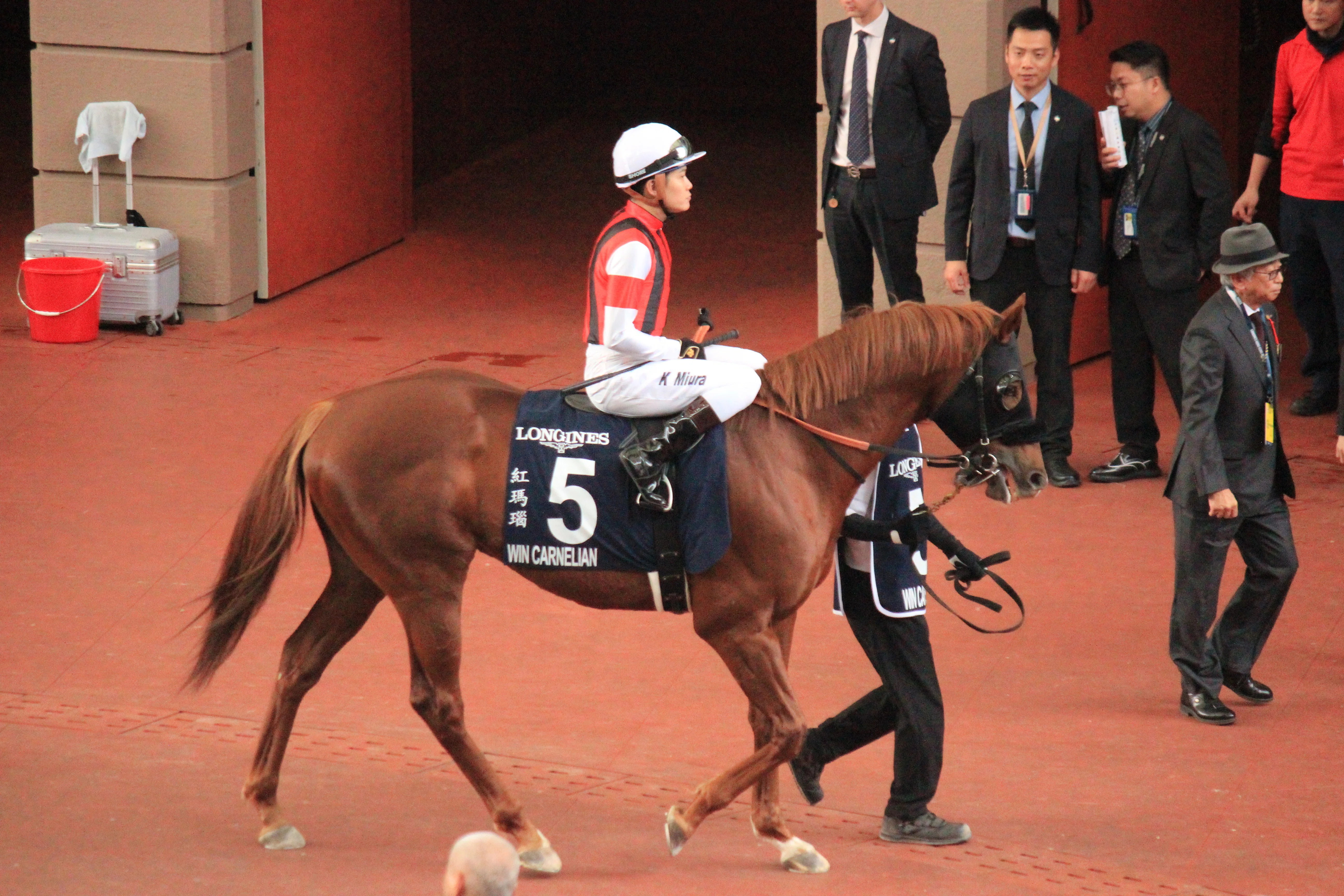 25香港国際競走 観戦日記｜梧桐樹