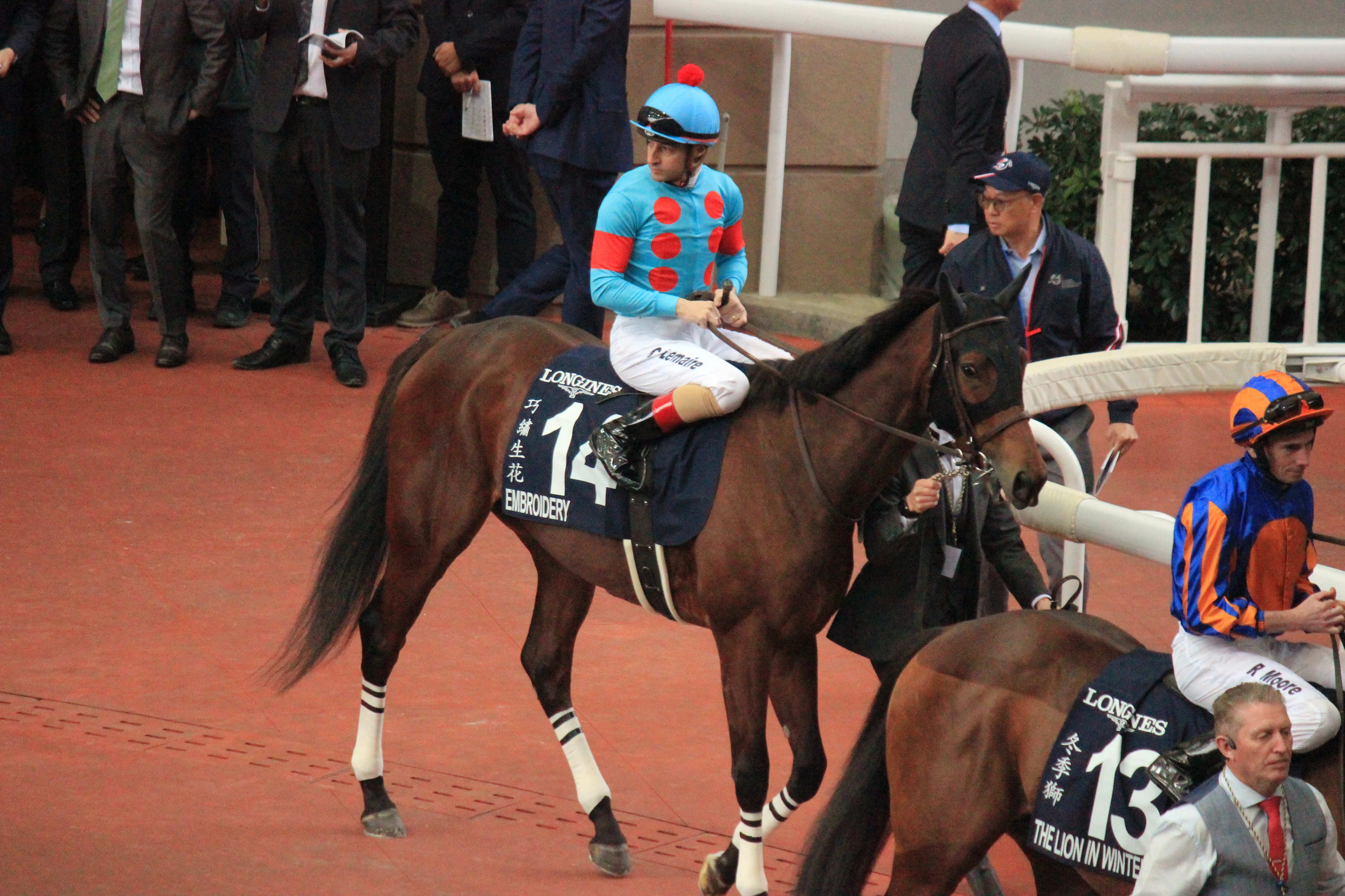 25香港国際競走 観戦日記｜梧桐樹