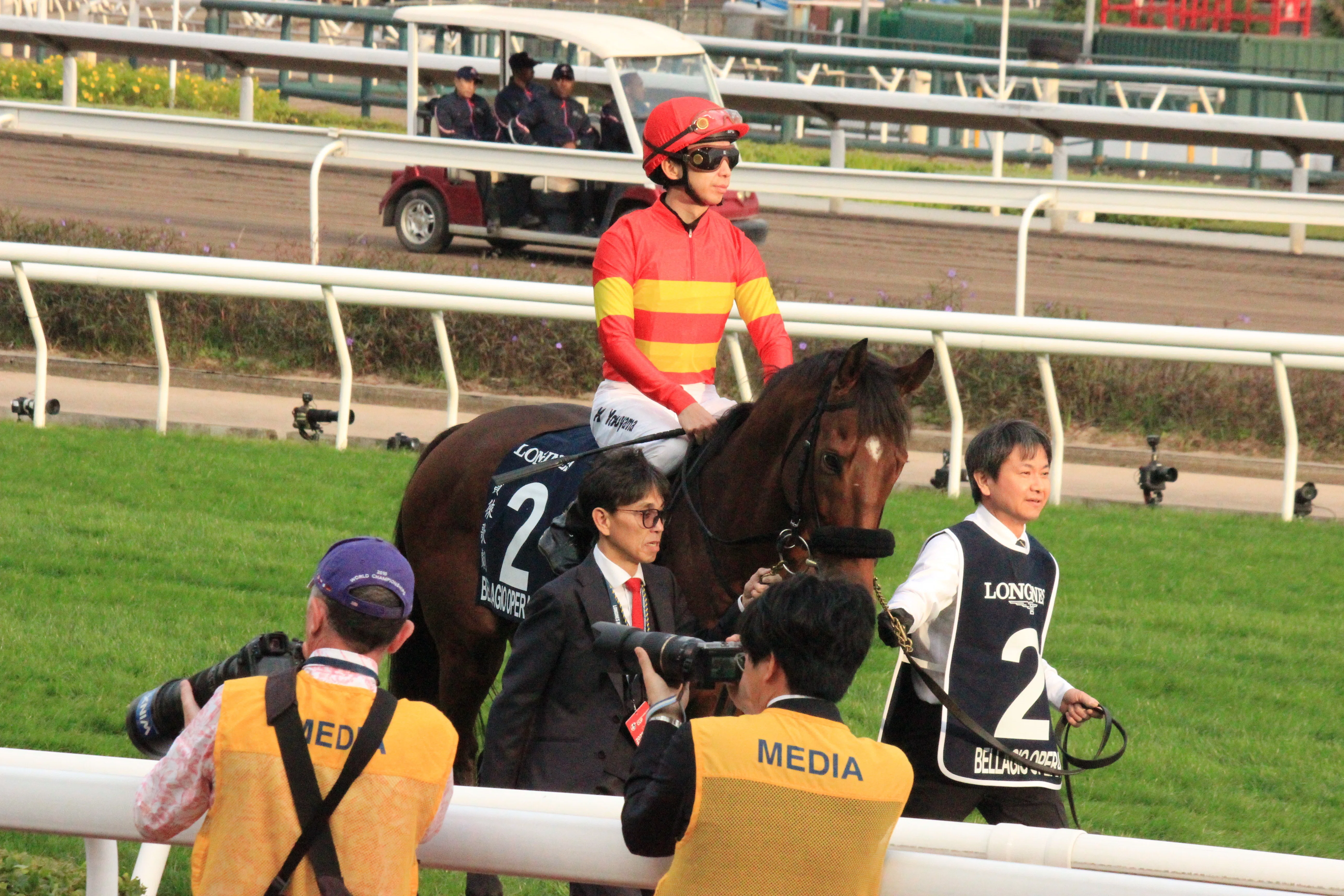 25香港国際競走 観戦日記｜梧桐樹
