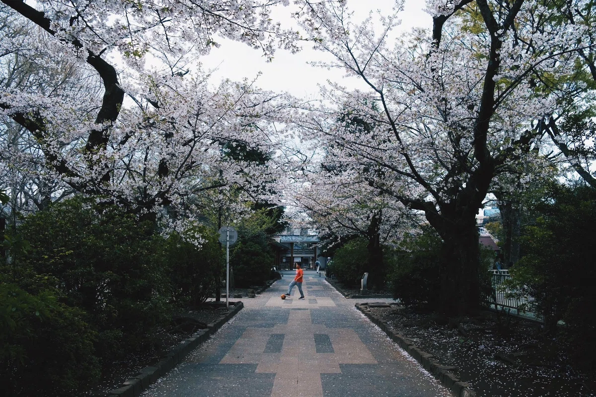 画像