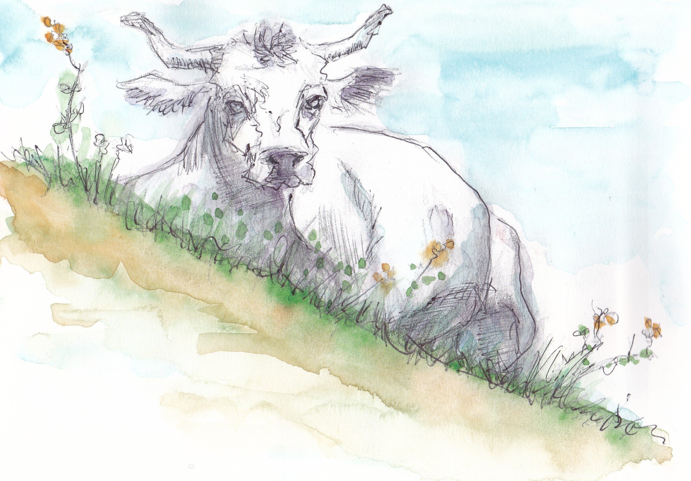 放牧地の牛を描いてみました【スケッチ・絵画】｜べそかきアルルカン