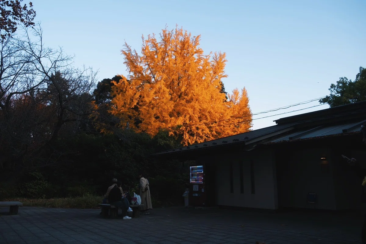 画像
