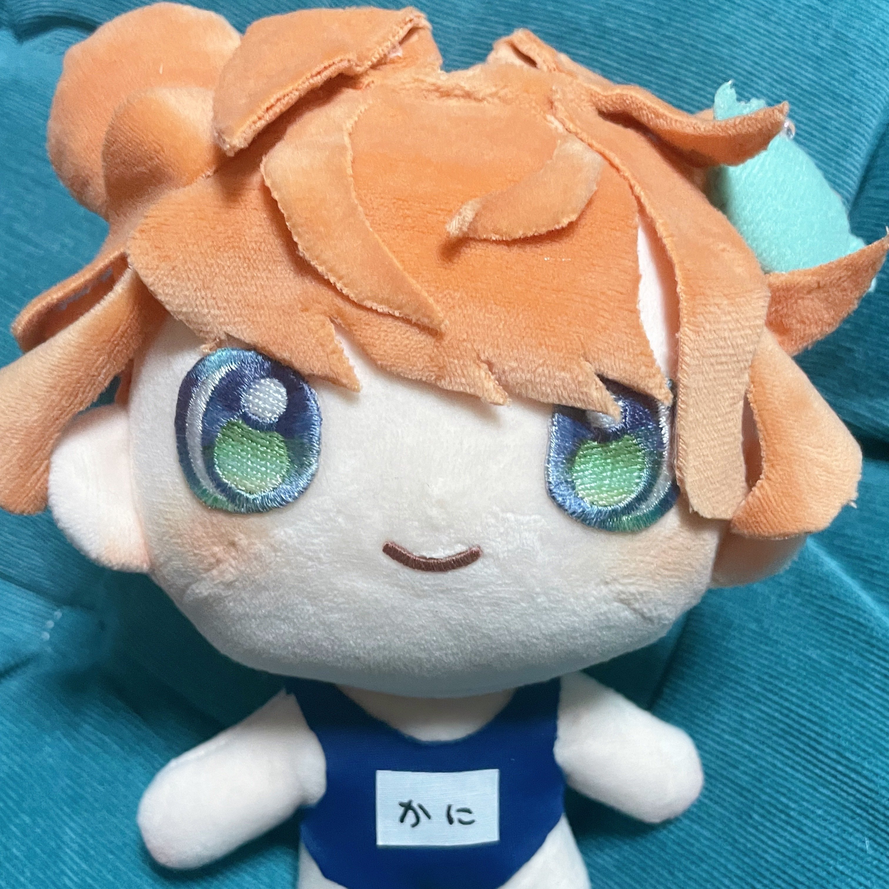 オリジナルぬいを手に入れよう 本体編｜かにみそ子