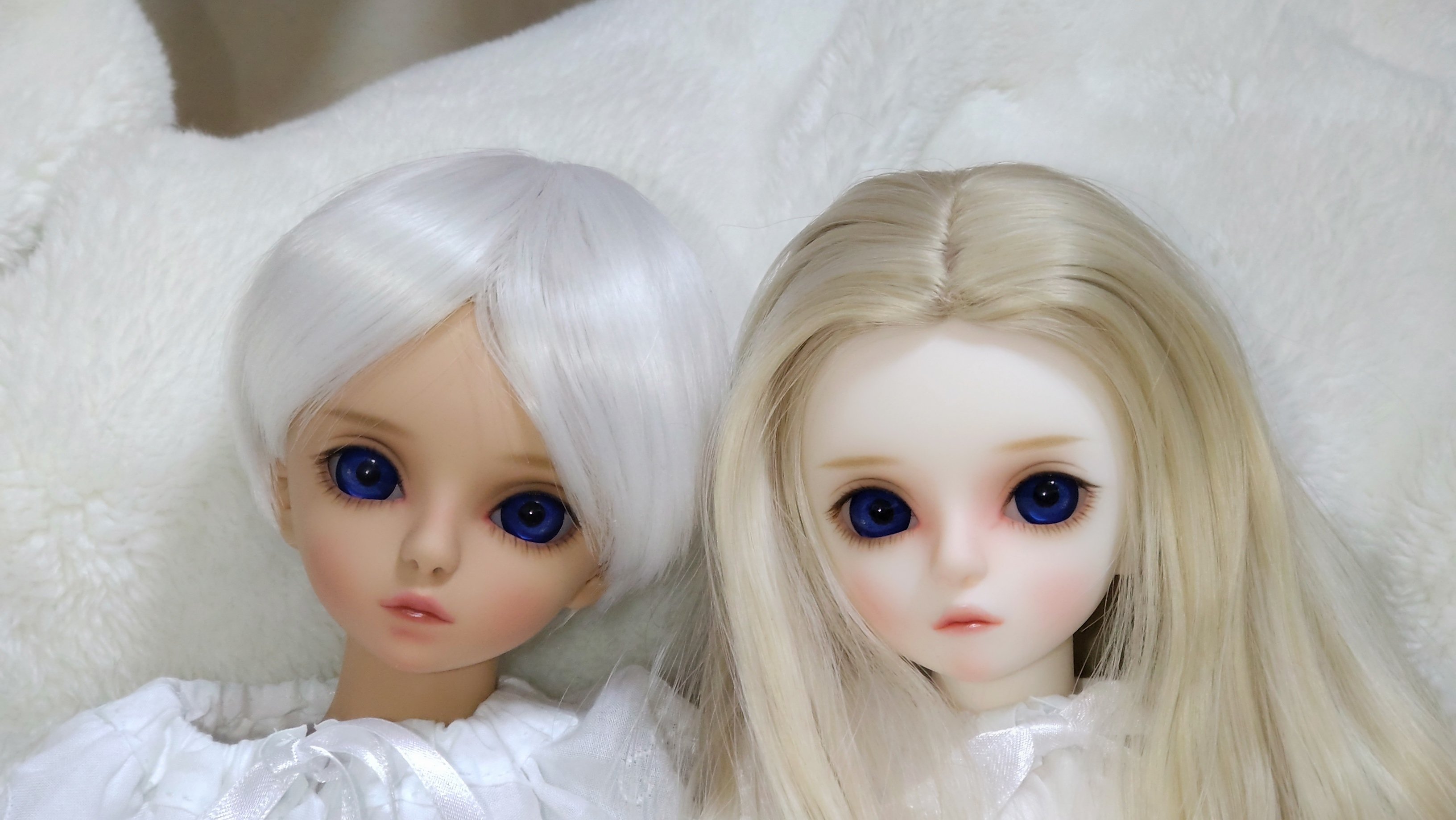 現在のうちの子たち（2025/12/17）｜ねずのき