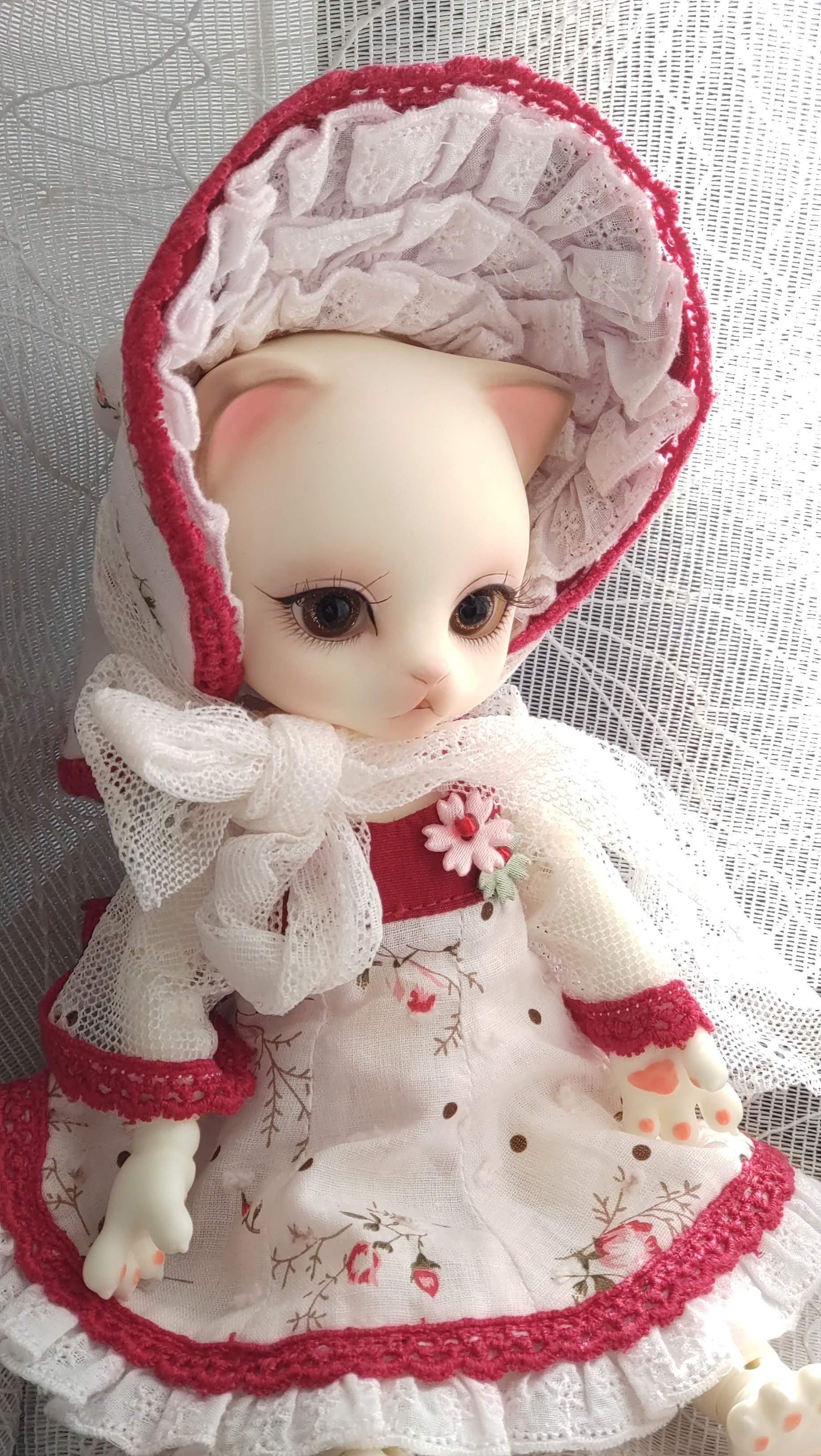 現在のうちの子たち（2025/12/17）｜ねずのき