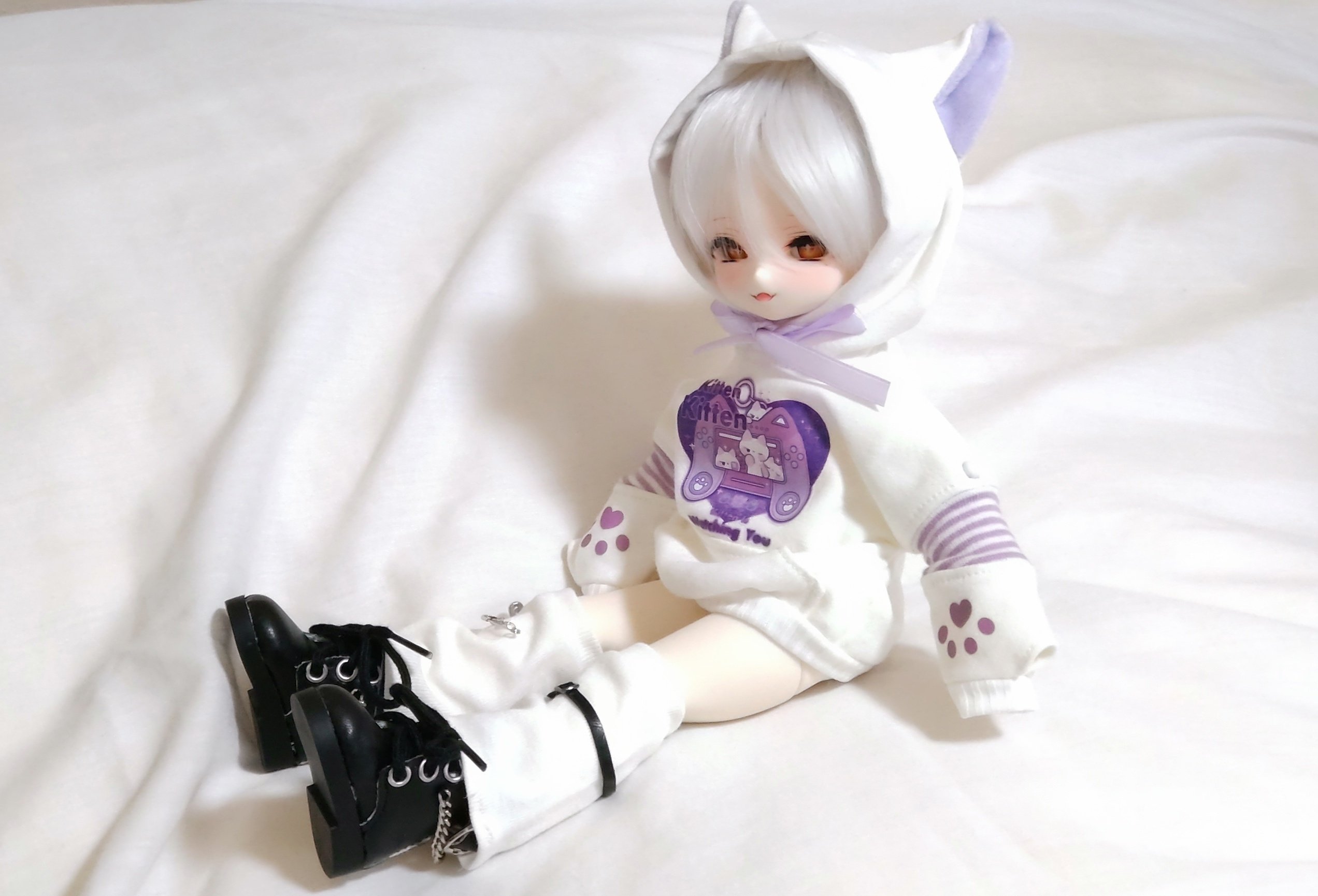 現在のうちの子たち（2025/12/17）｜ねずのき