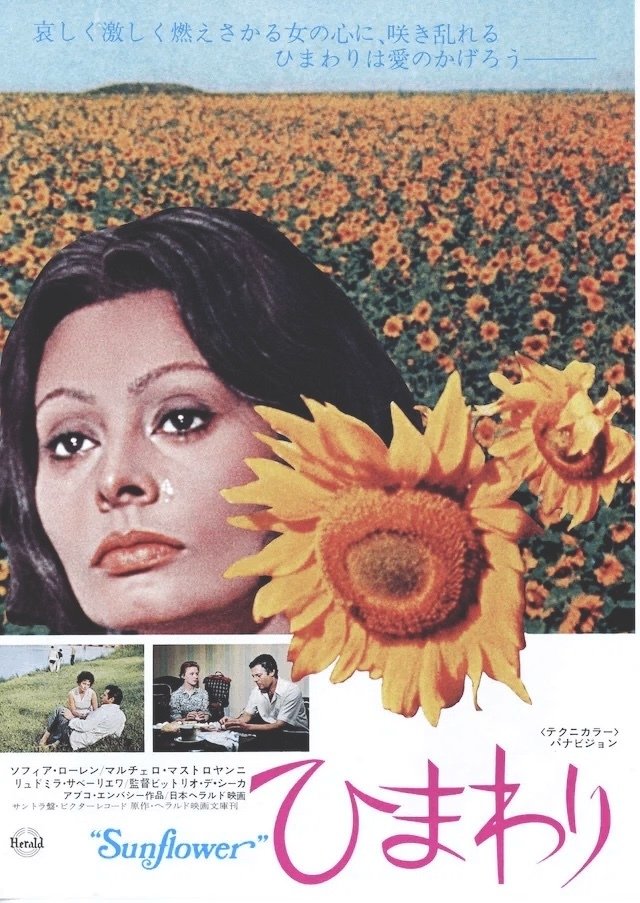 ヴィットリオ・デ・シーカ監督 『ひまわり』 ： 小さな存在への愛
