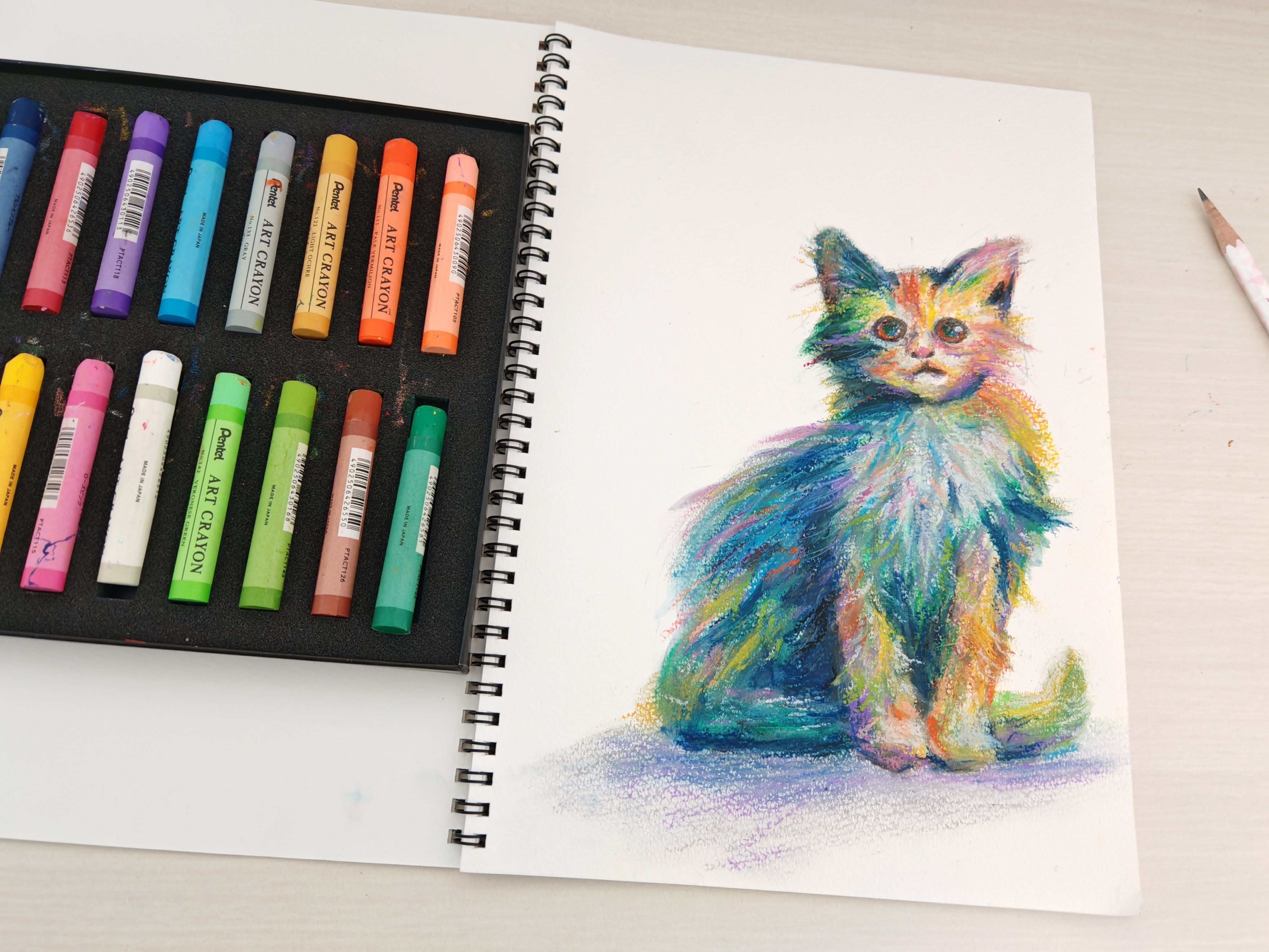 クレヨンアート／くつろいだネコ クレヨンアート／くつろいだネコ