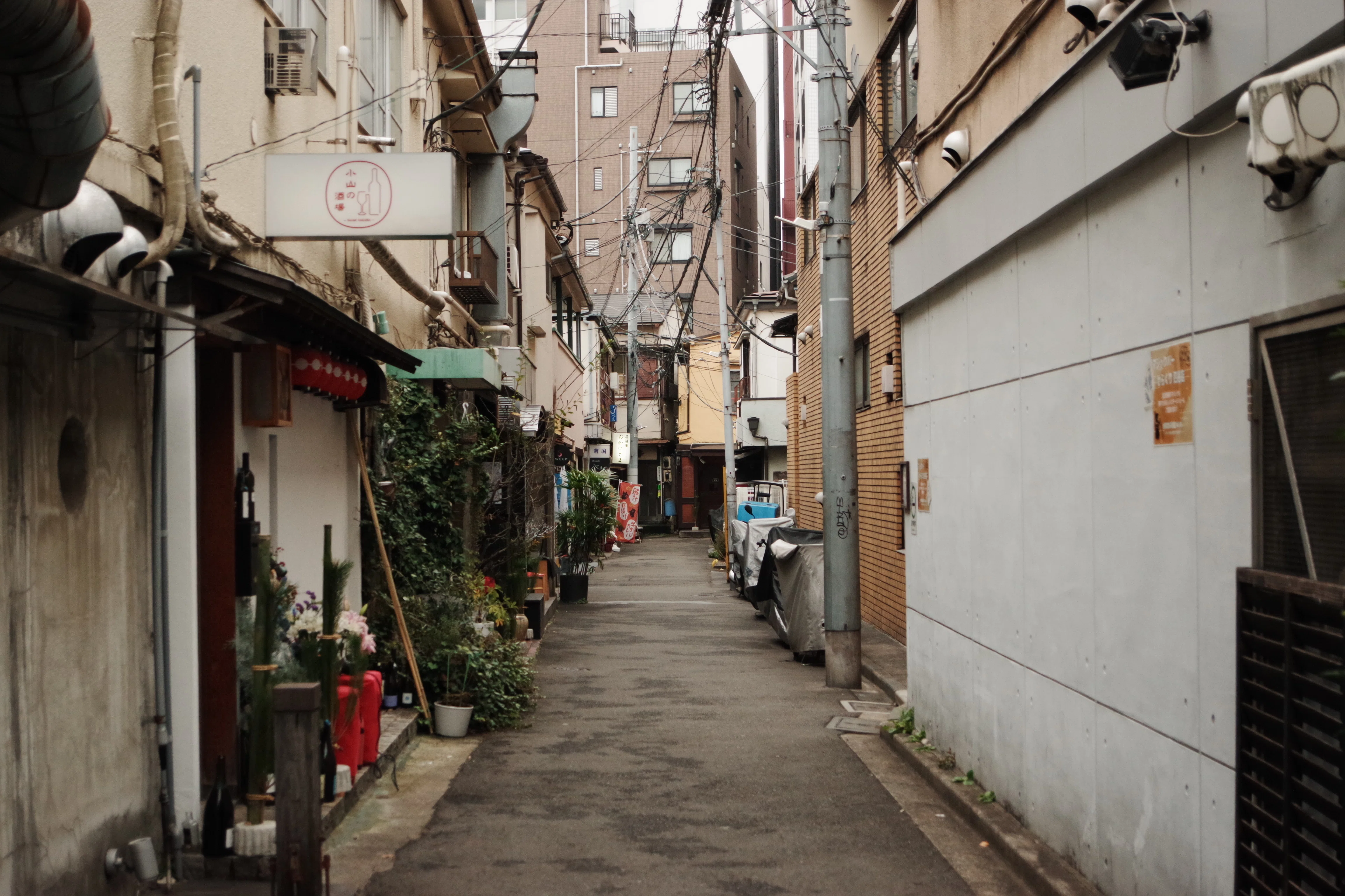 29 曇り空と昭和レトロとかつての花街と（四ツ谷／東京）｜写真と