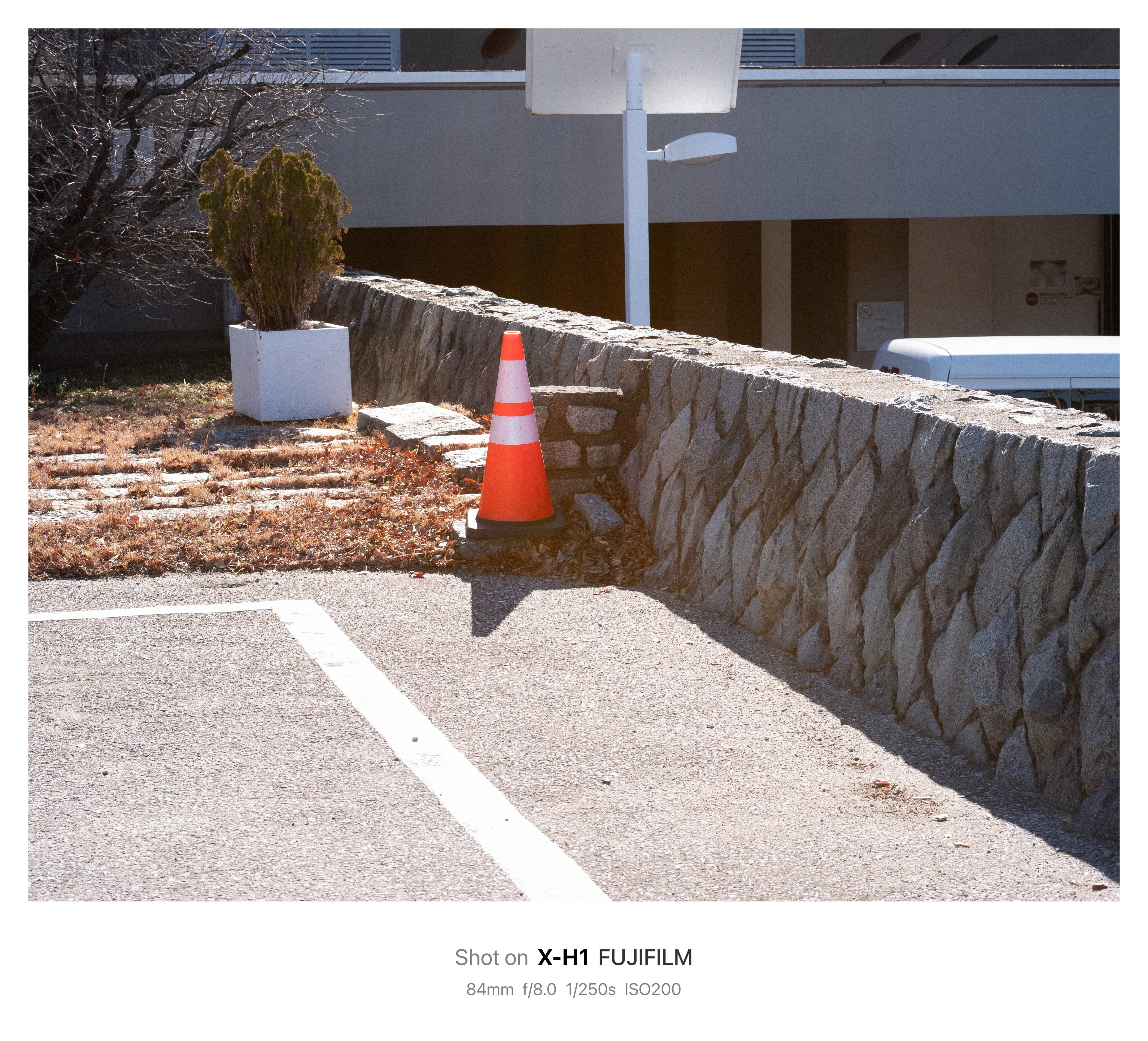 望遠単焦点で世界が変わる | 僕とカメラ｜鈴木ユートピア