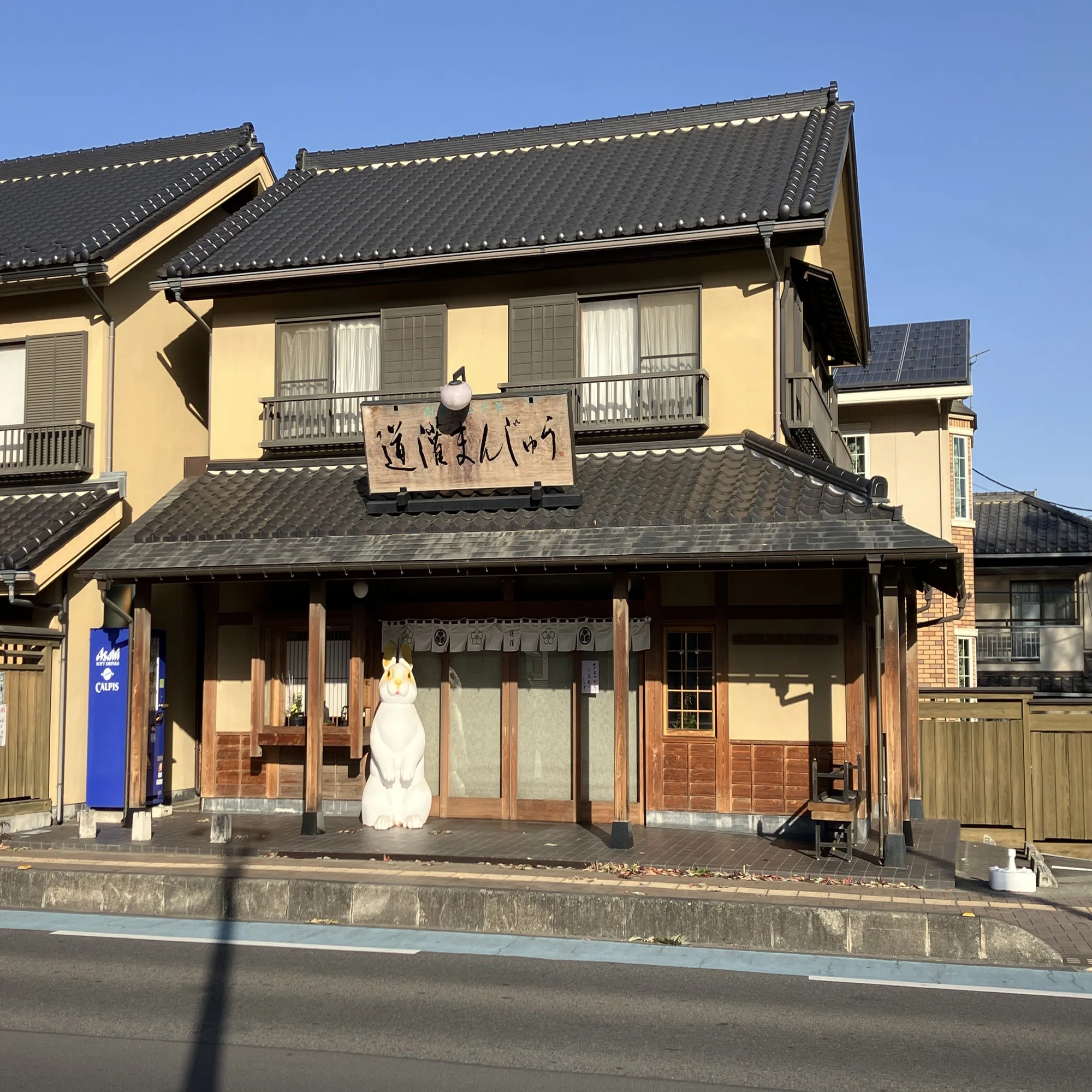 197.【旅する読書と私】⑨埼玉県川越市『菓子屋横丁月光荘』ほしお 