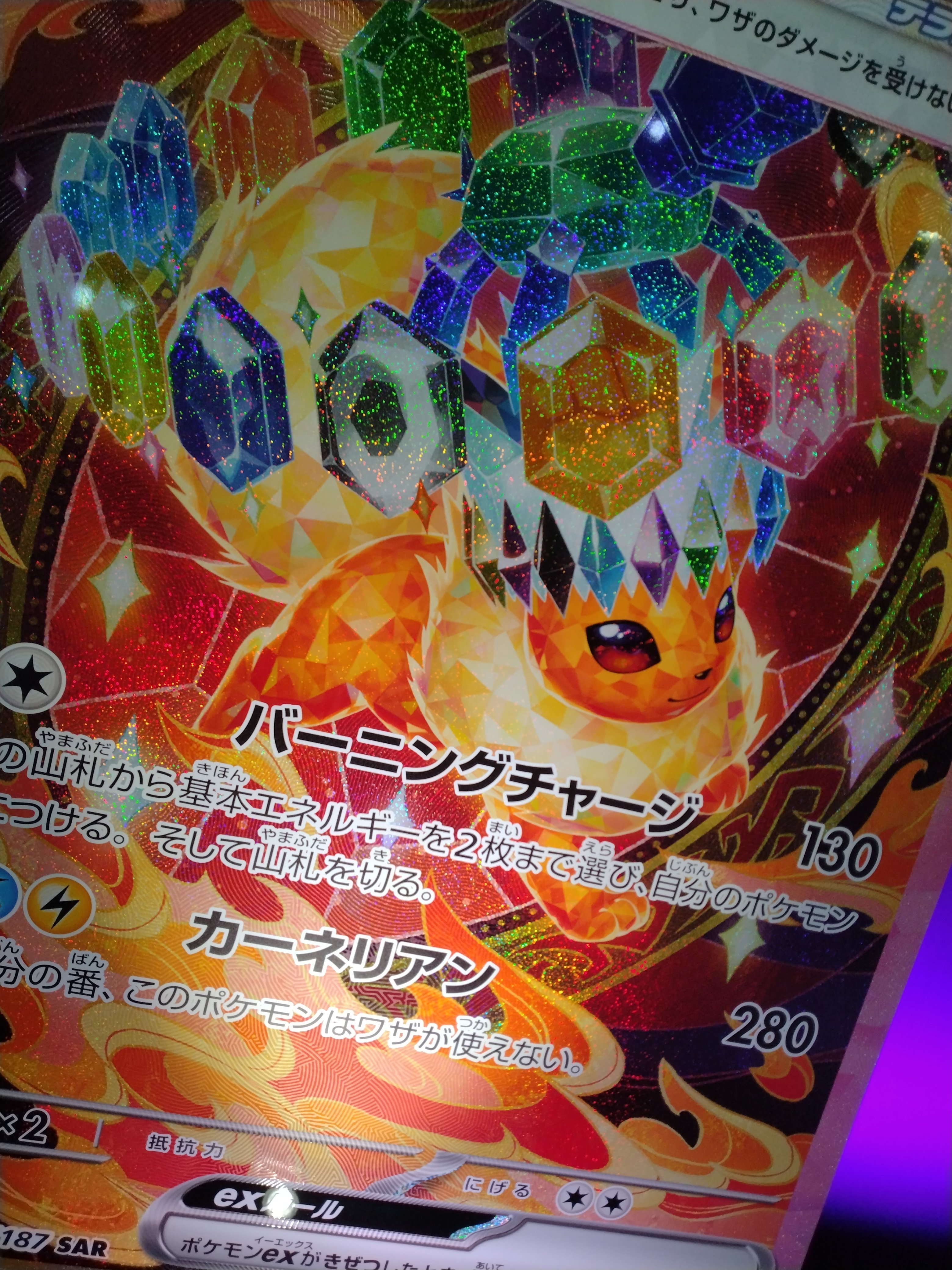 ポケカAdvent Calendar2025♡23日目】ポケカ歴4年目の2025年総ざらい