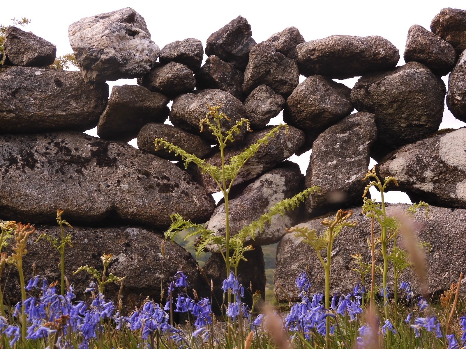 042．美しい石積みの垣根｜加藤節雄