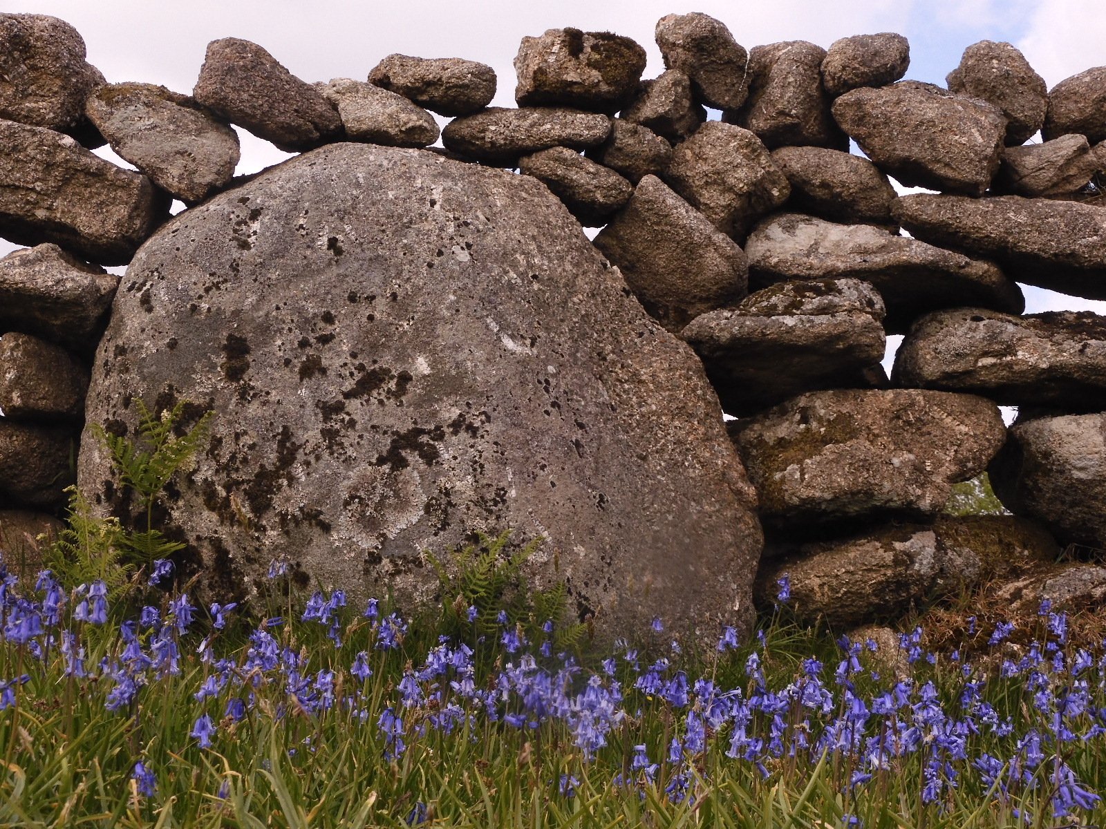 （269）越前海岸の紋石、美石たち③（参考） 269）越前海岸の紋石、美石たち③（参考）