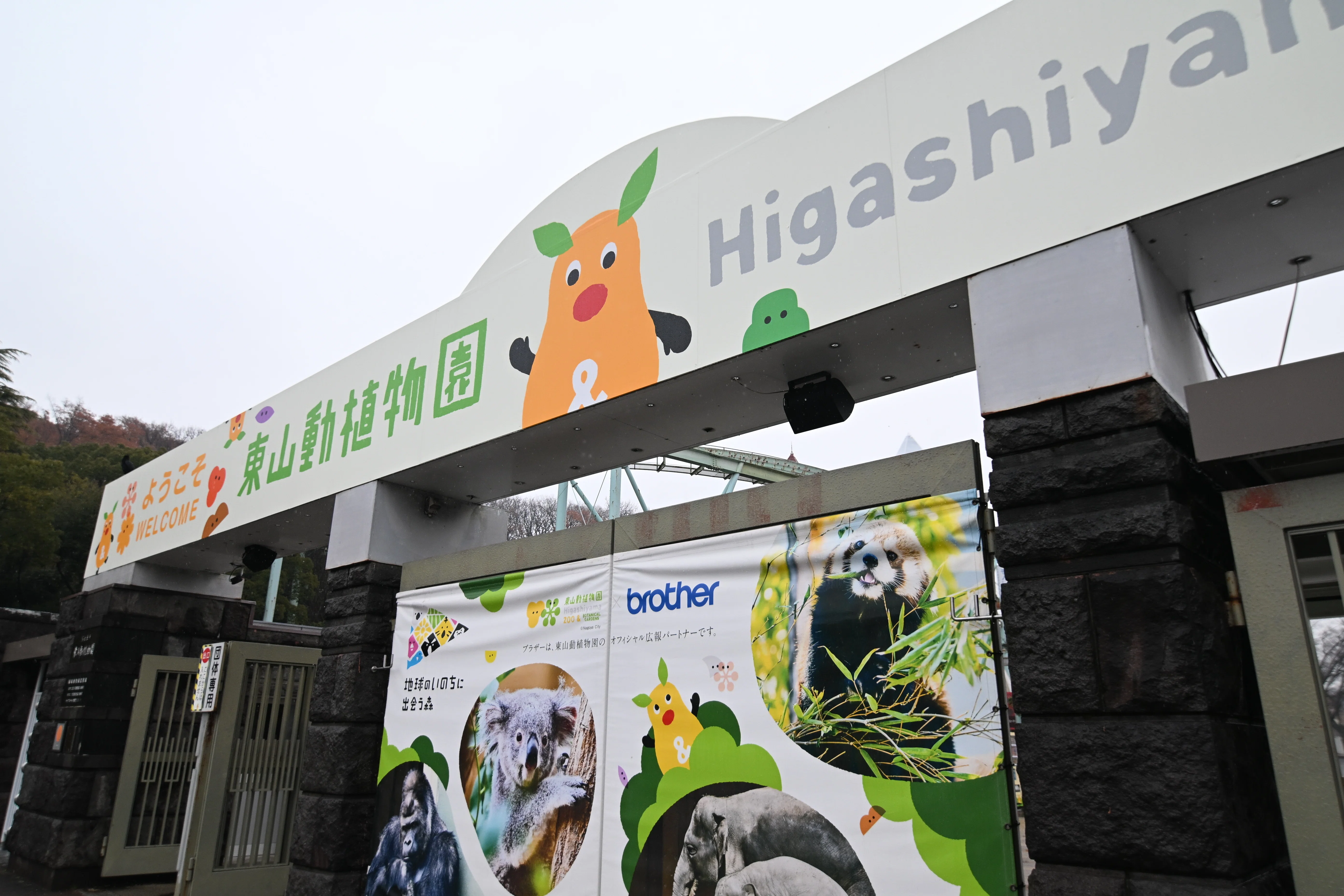 20251220_名古屋市東山動植物園【Nikon Z50IIと動物園】｜山ネズミ