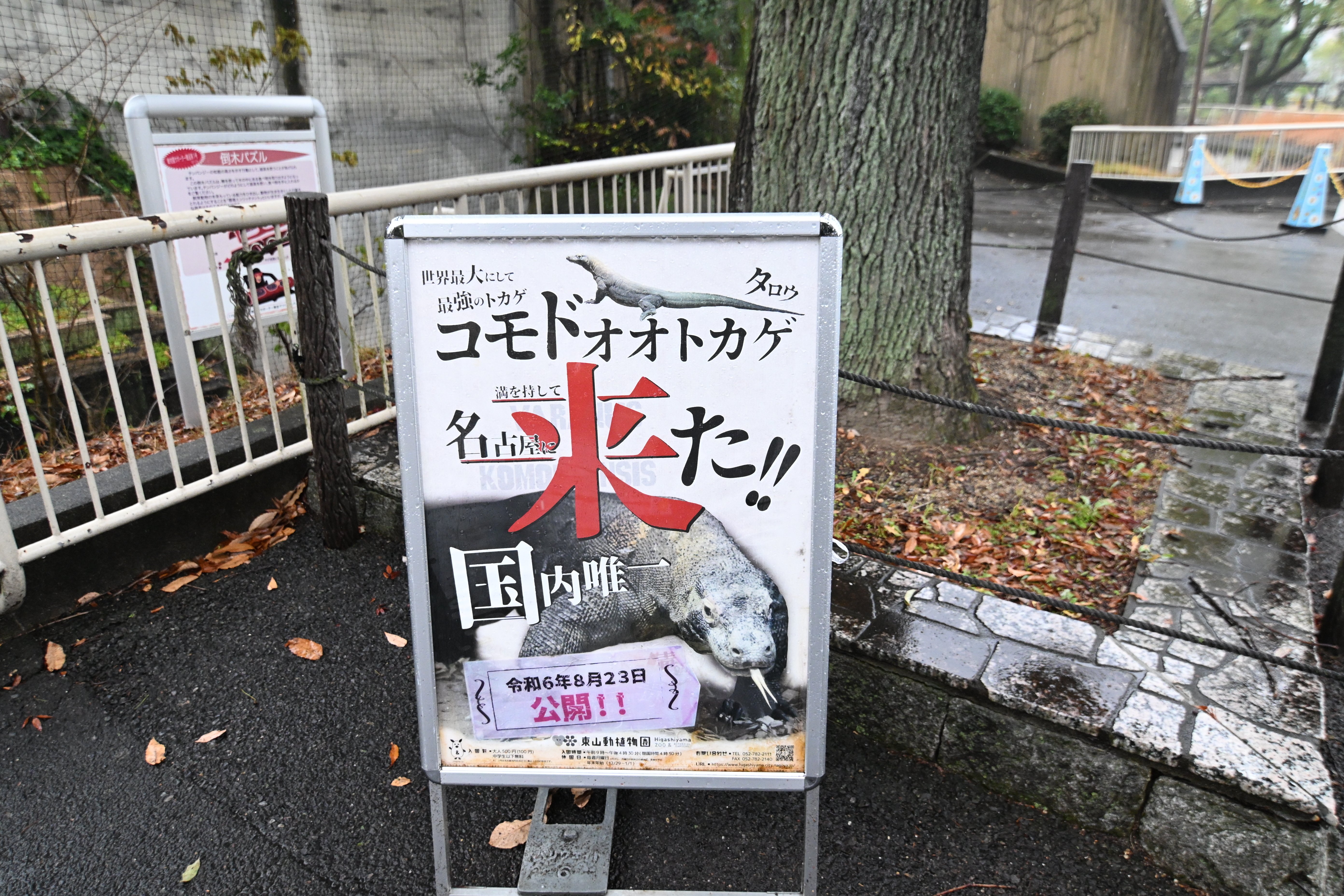 20251220_名古屋市東山動植物園【Nikon Z50IIと動物園】｜山ネズミ