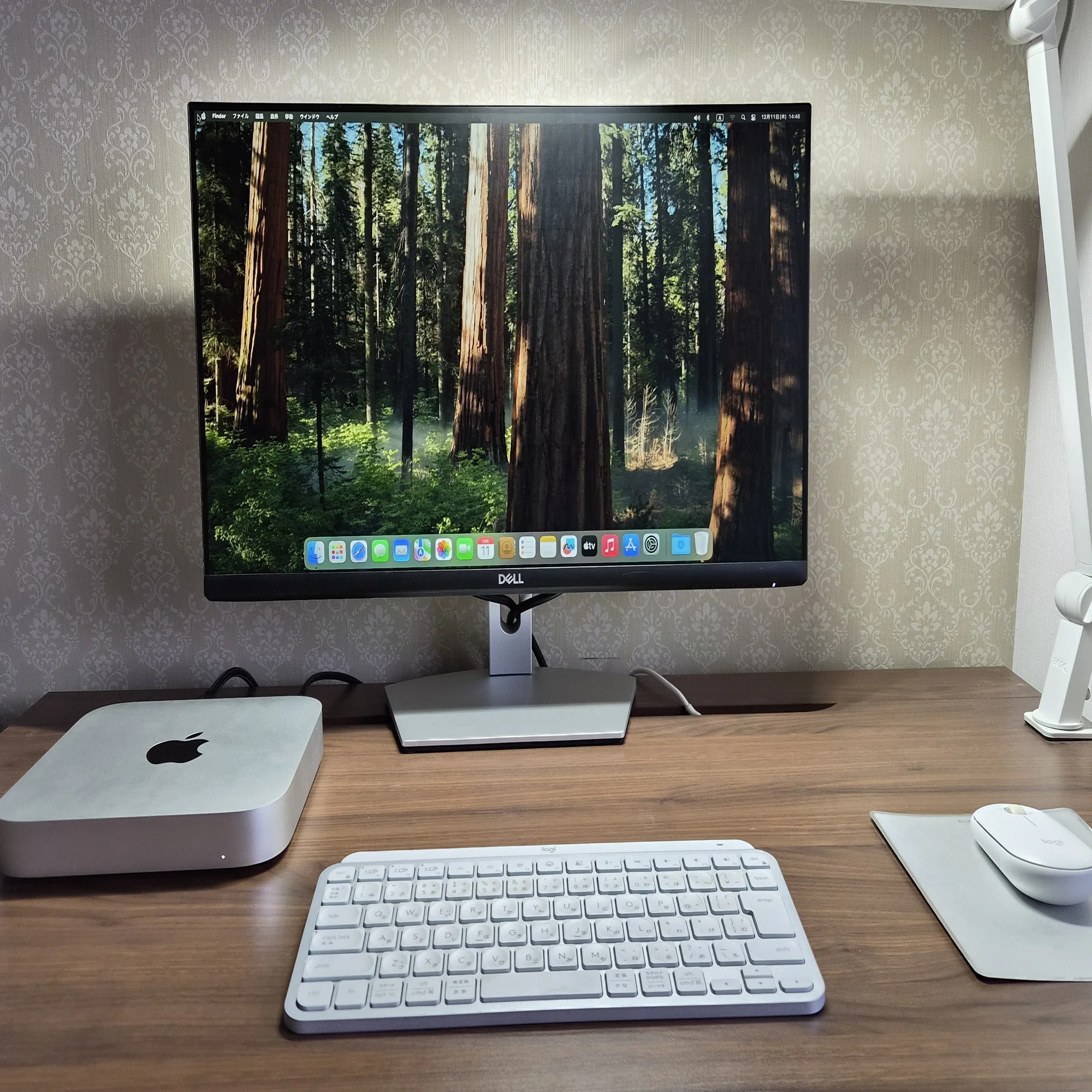 Amazon.co.jp: 【Refurbished】Desktop computer with Apple 2023 Mac 