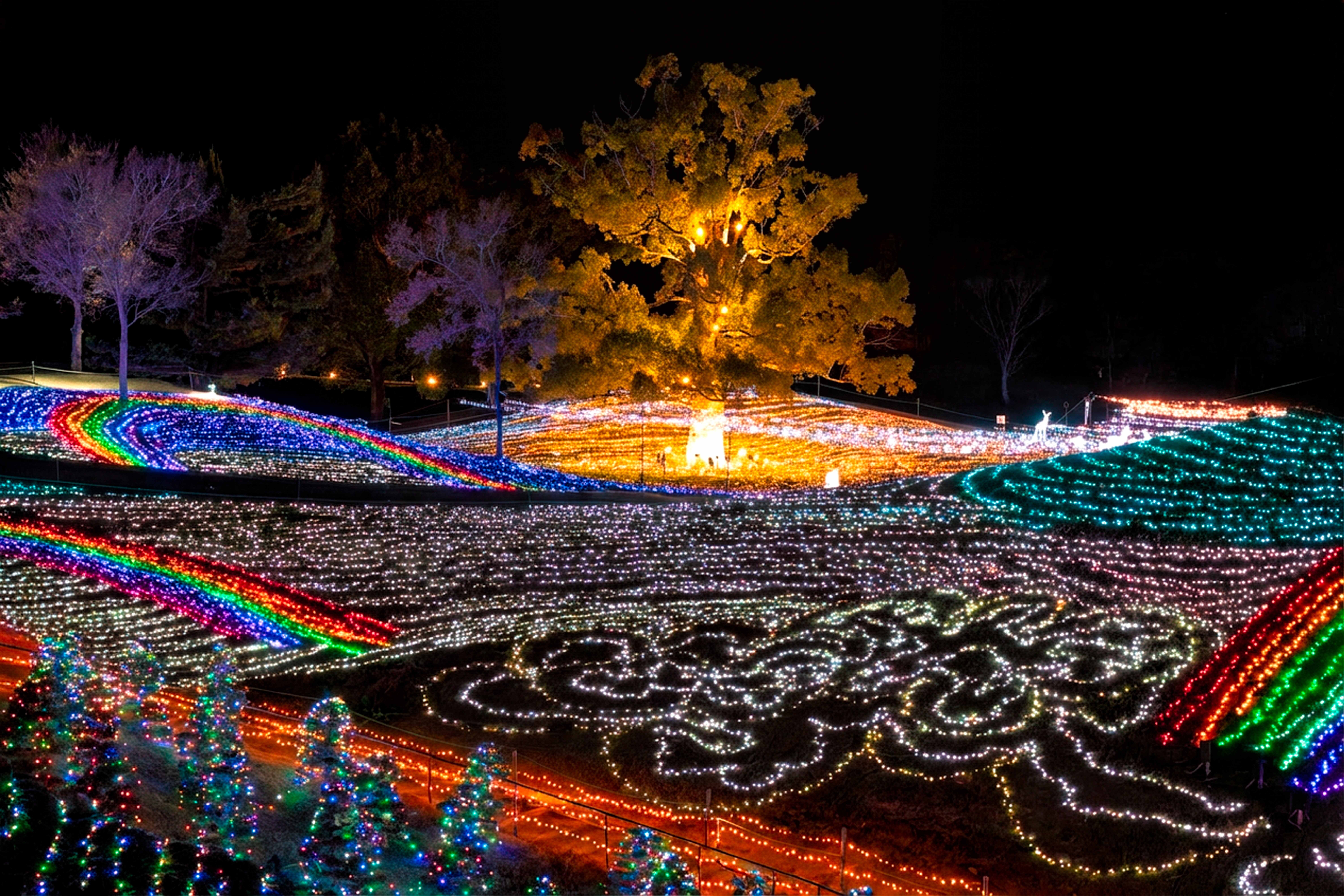 香川まんのう公園のイルミネーション｜YUTA録