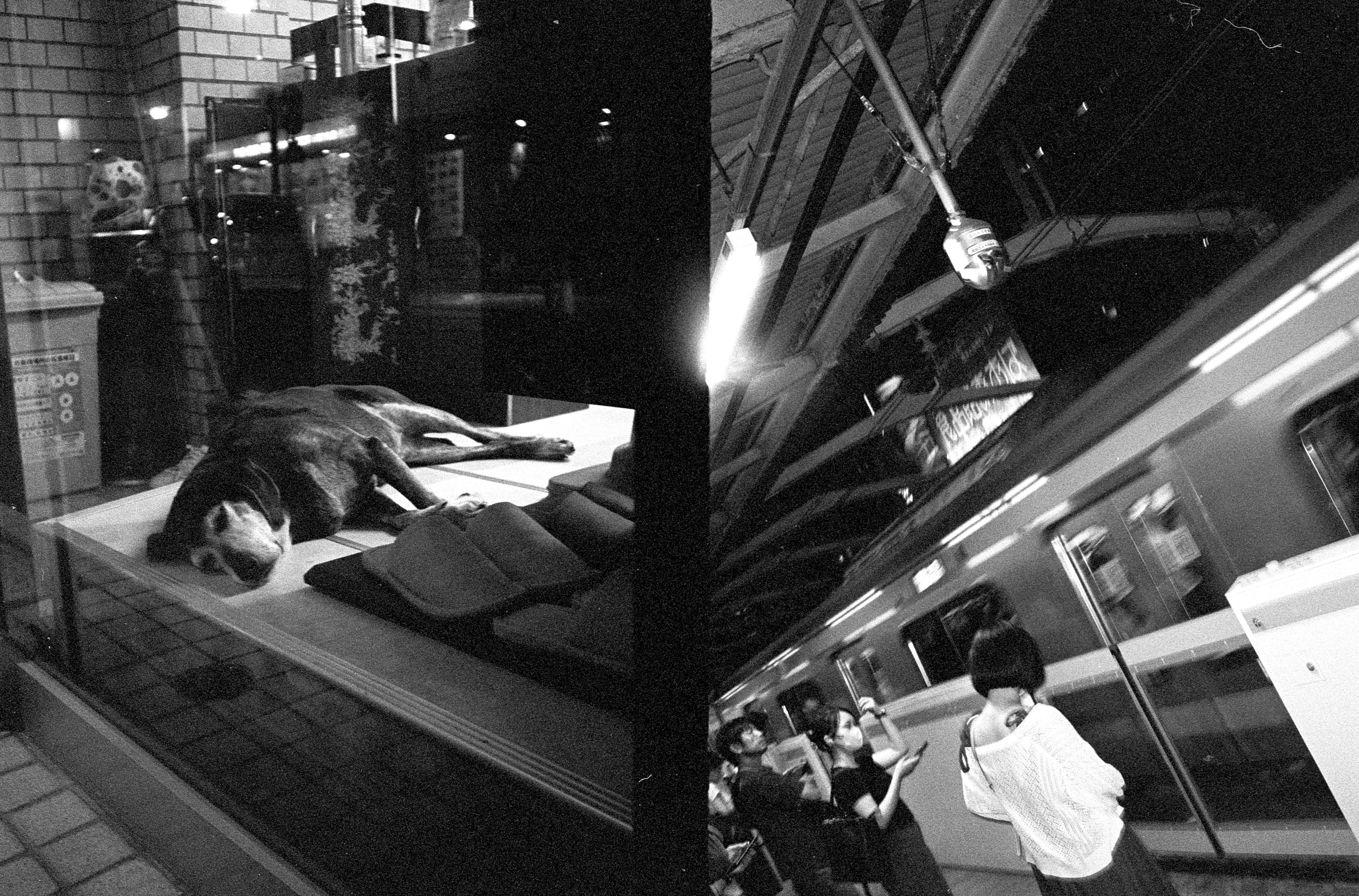 思い出せない写真 (Side x Side)｜MOJA MOJA