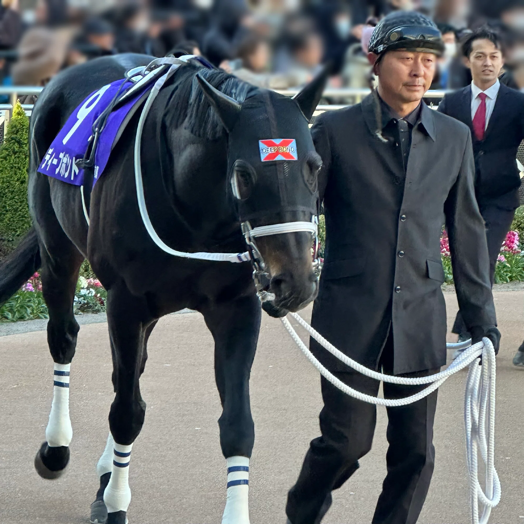 みようね、競馬を｜日記
