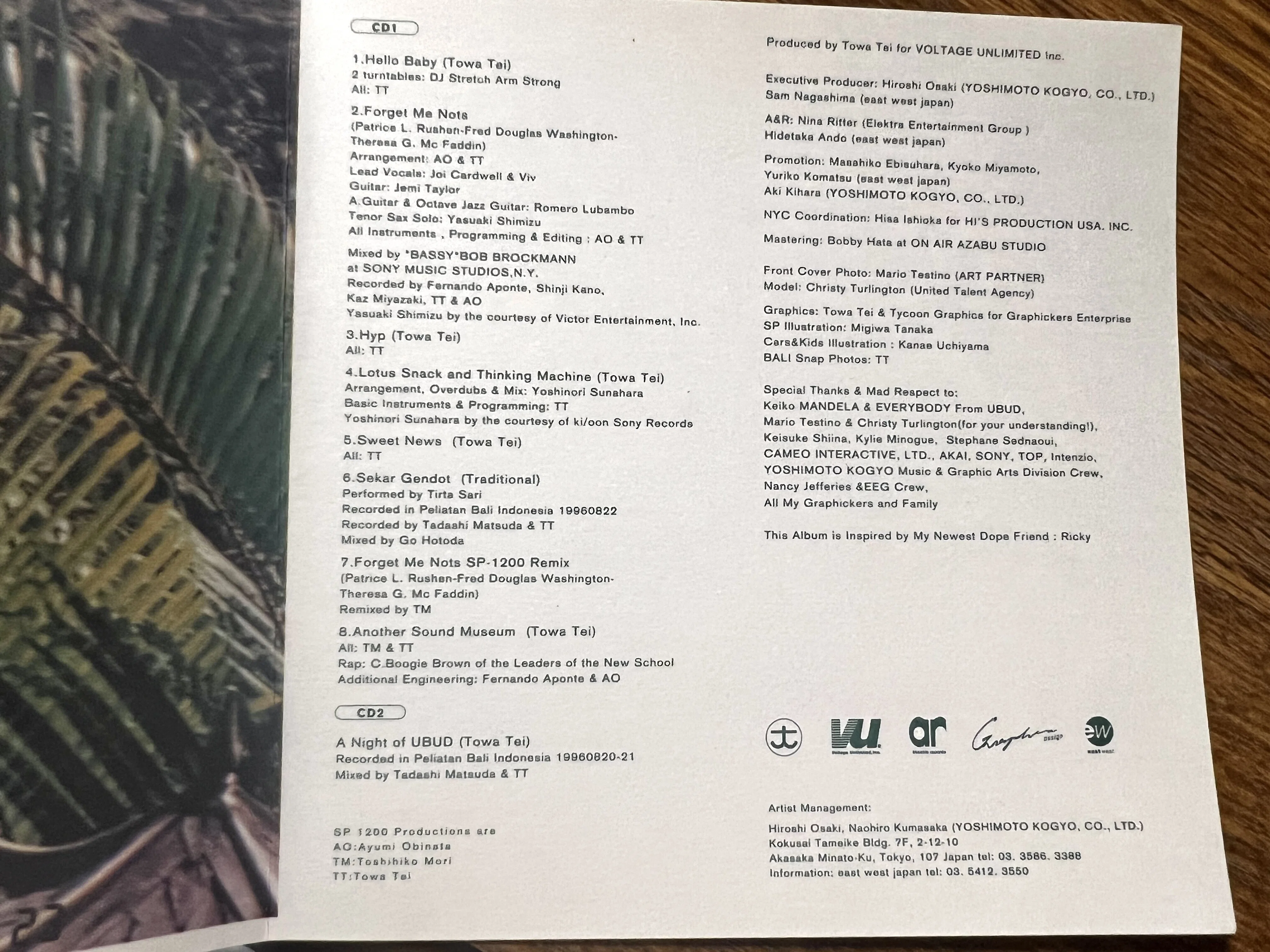音楽家テイ・トウワさんのアルバムに収録されているバリ島🏝️🌳｜〈旅