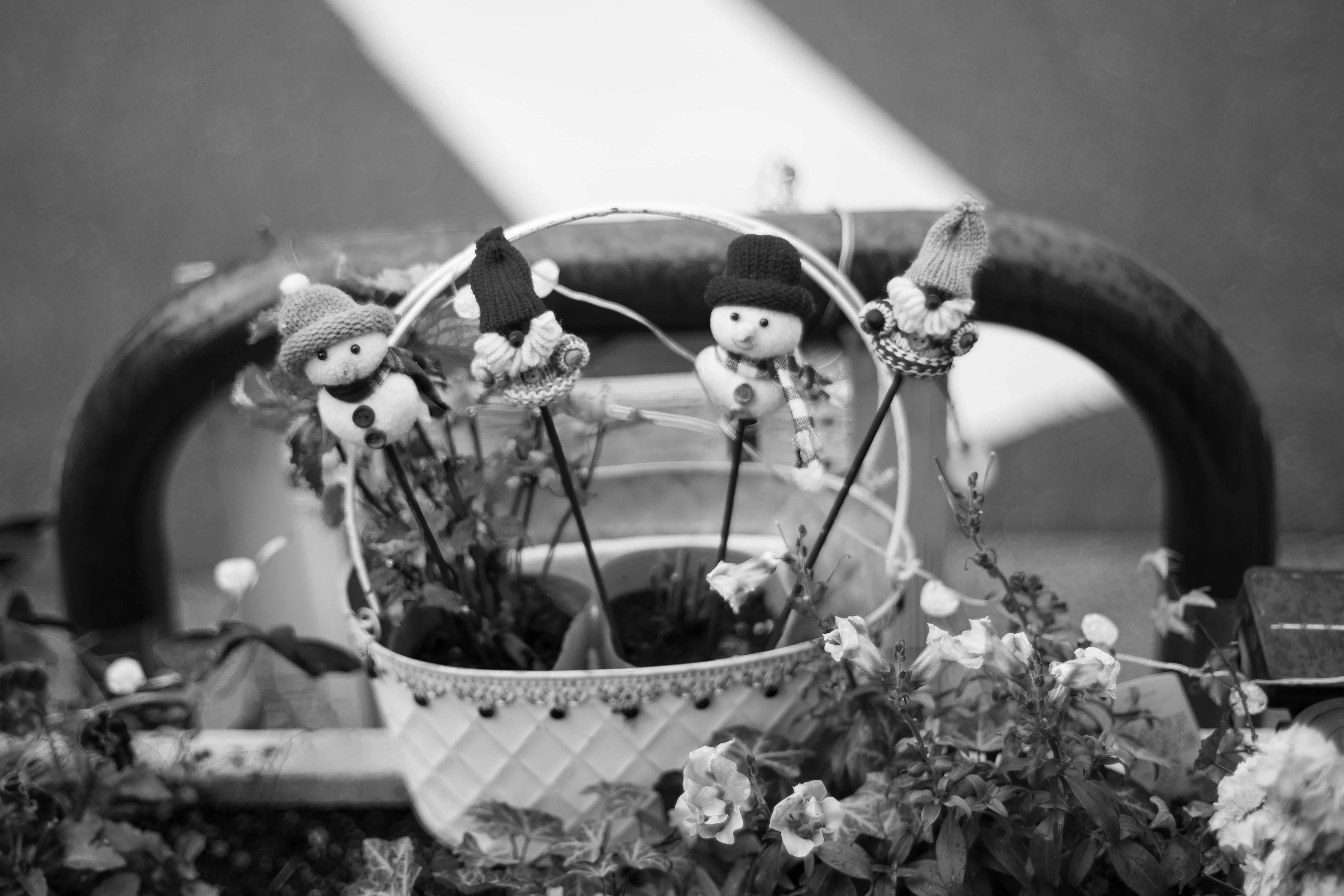 Monochrome Expression in Photography (Zeiss Planar 1.4/50 ZF)｜千里