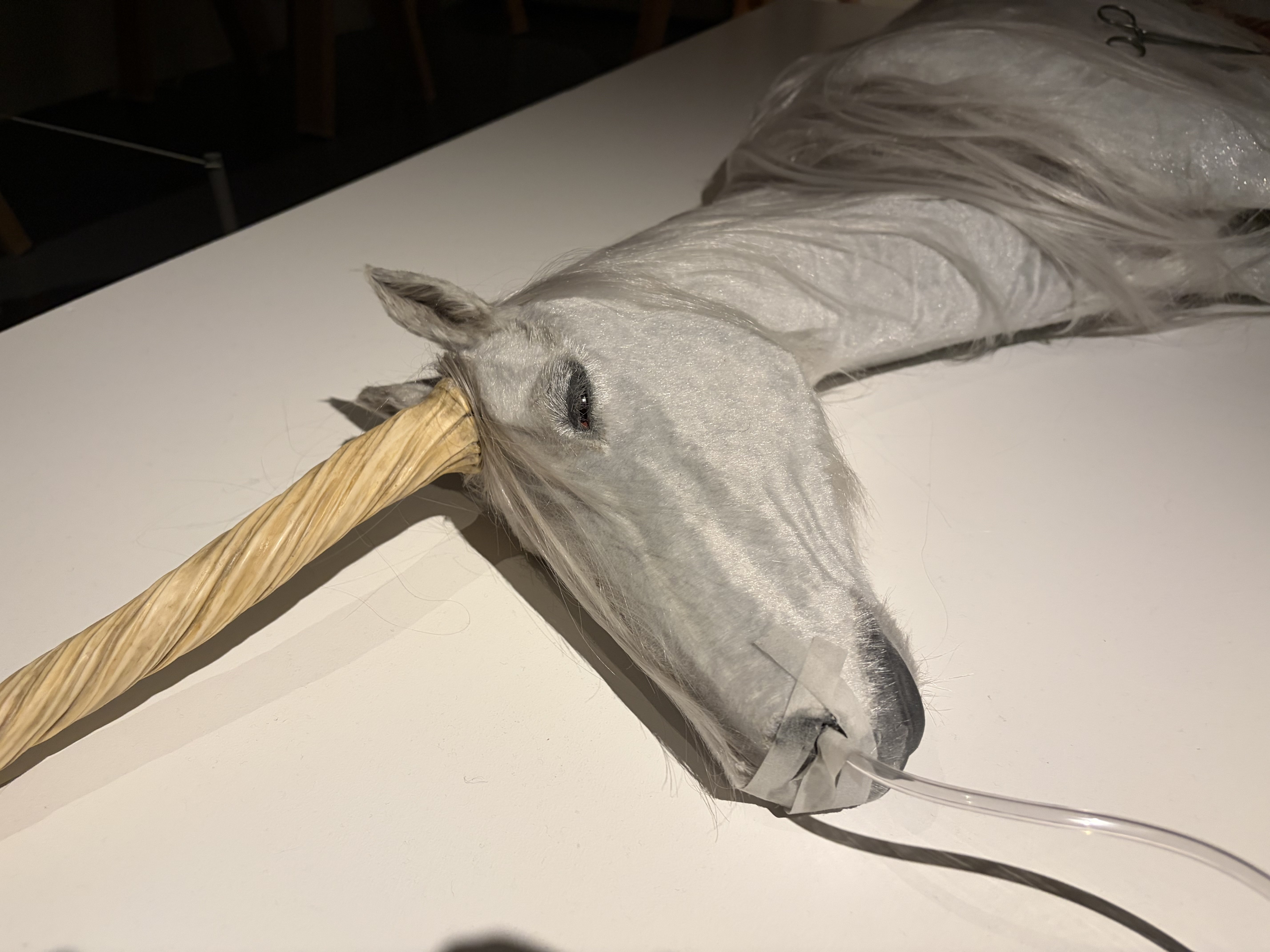 平野真美作『蘇生するユニコーン』を観て｜鯨ヶ岬勇士