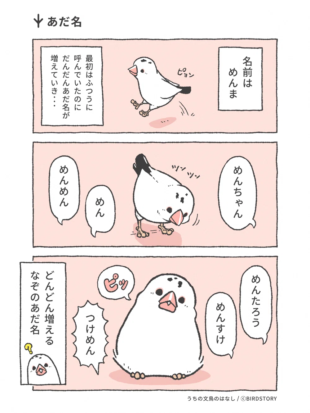 うちの文鳥のはなし 第18羽「あだ名」｜BIRDSTORY