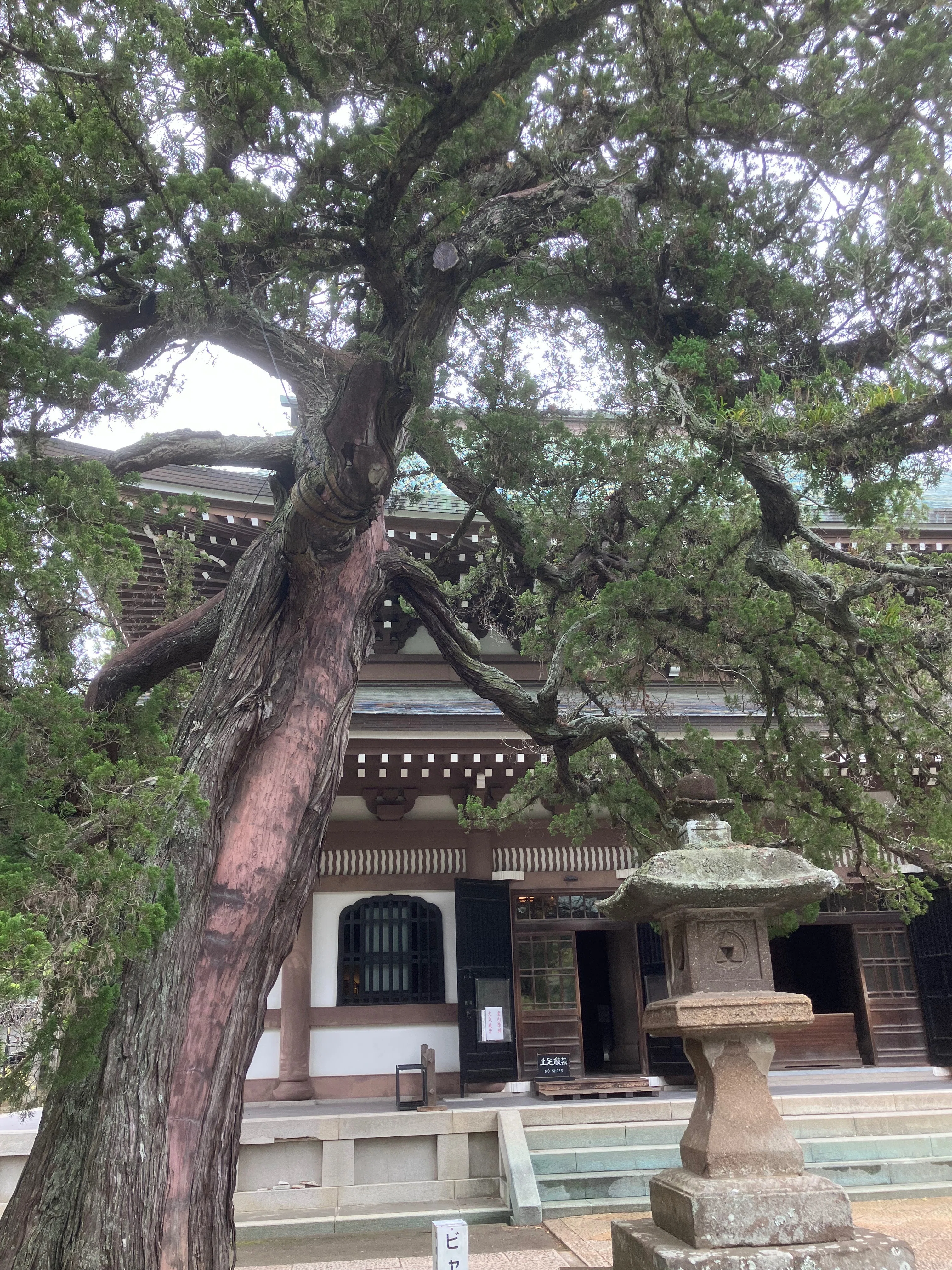 【中古】中世鎌倉五山の建築 中世鎌倉五山の建築 / 鈴木 亘【著】 - 紀伊國屋書店ウェブストア