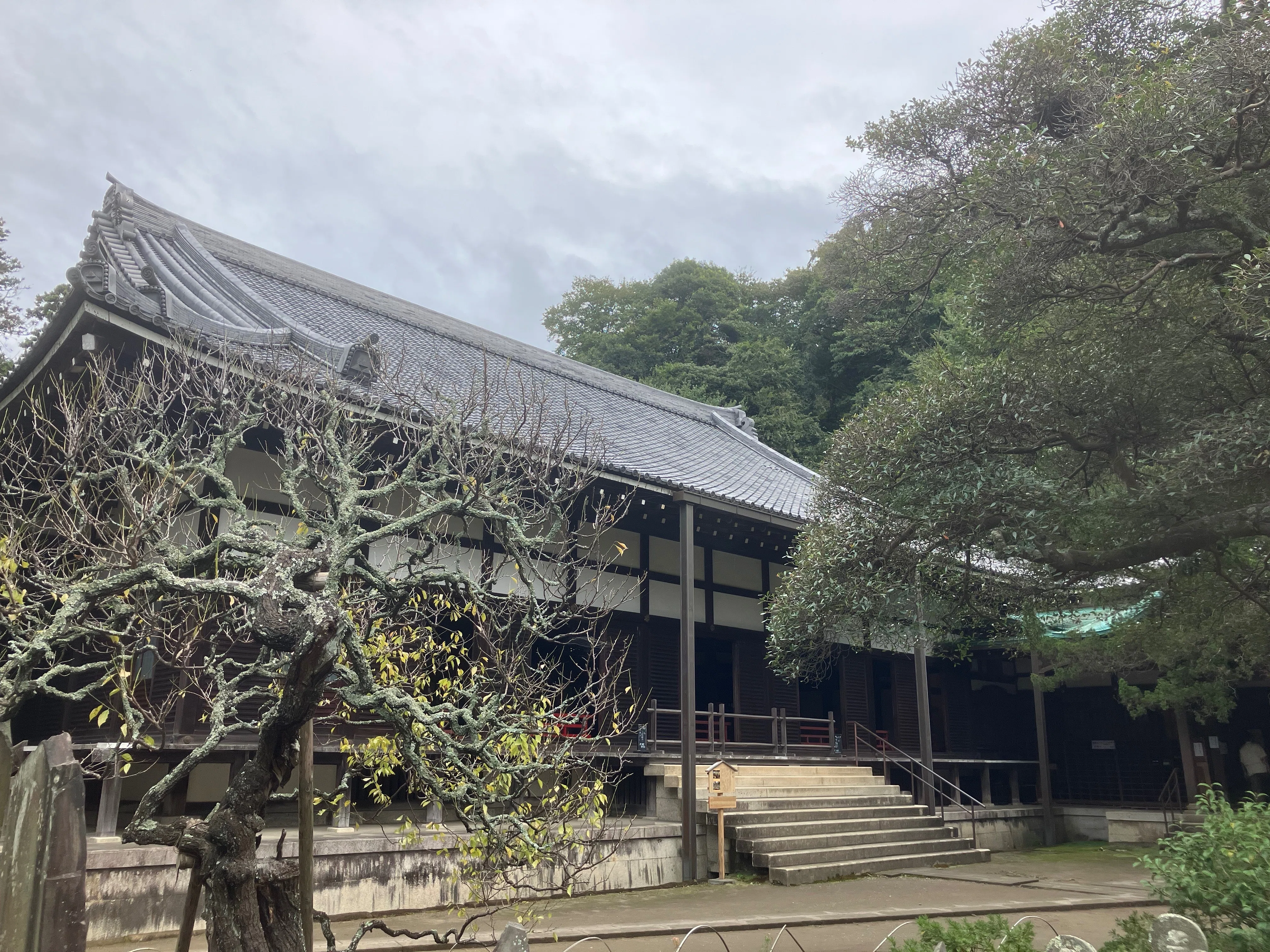 【中古】中世鎌倉五山の建築 鎌倉市／84 鎌倉五山