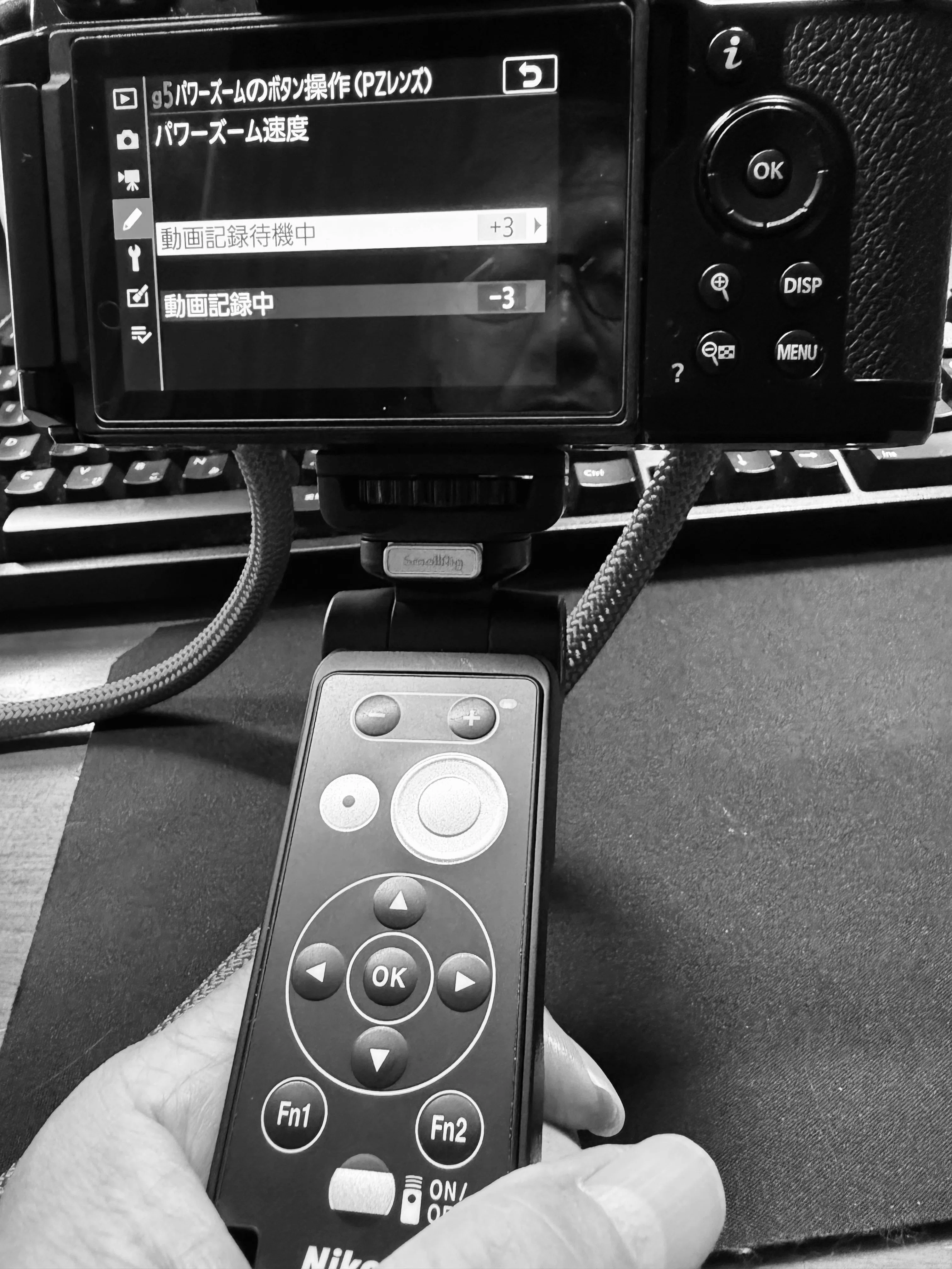 Nikon】初パワーズームレンズ ズーミング速度設定で 戸惑う｜Swan High