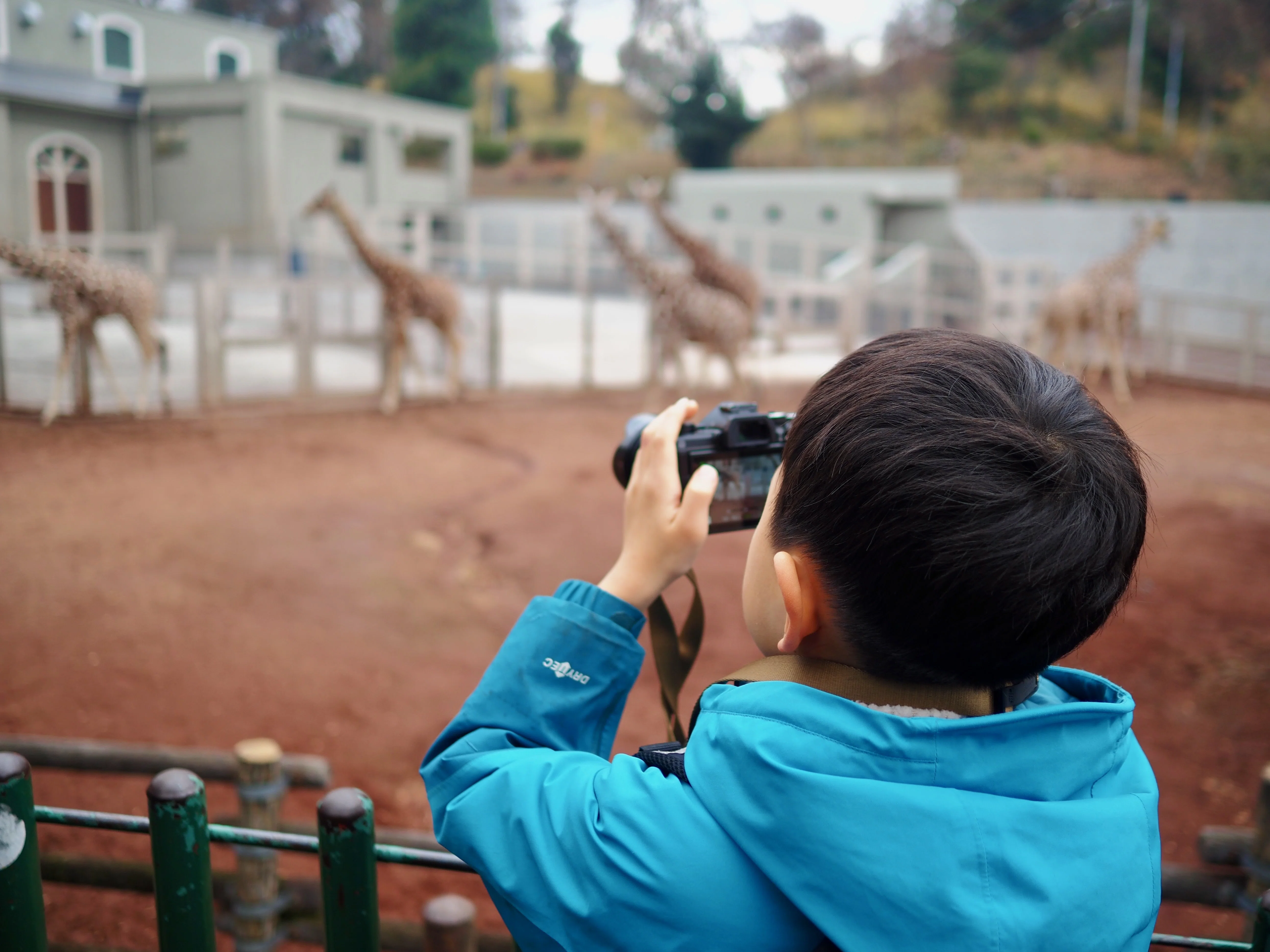 OM-1 M.Zuiko50-200mm | クリスマス前の子連れ多摩動物園｜ひの