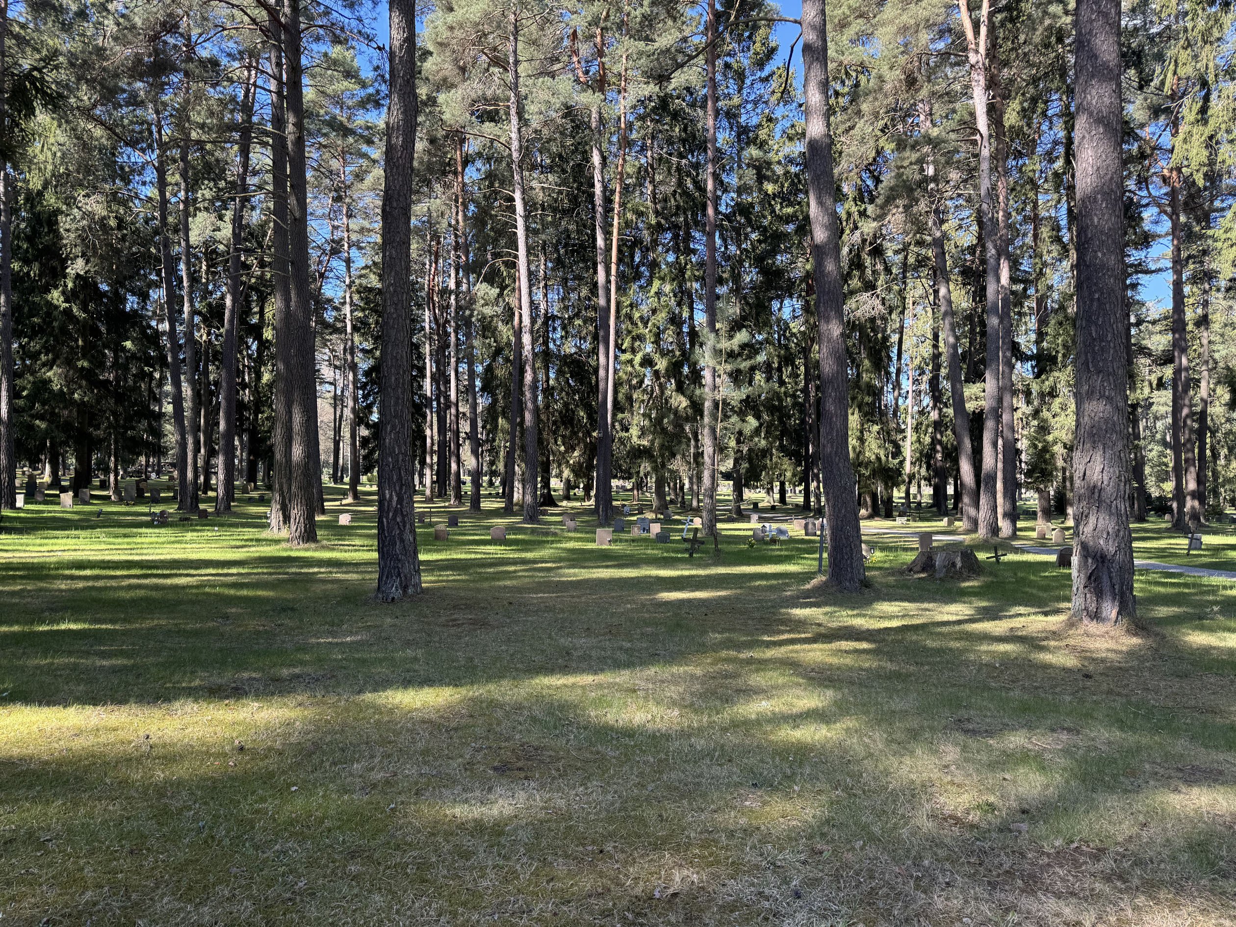 建築】心が洗われるような散策を楽しめる森の墓地（アスプルンド