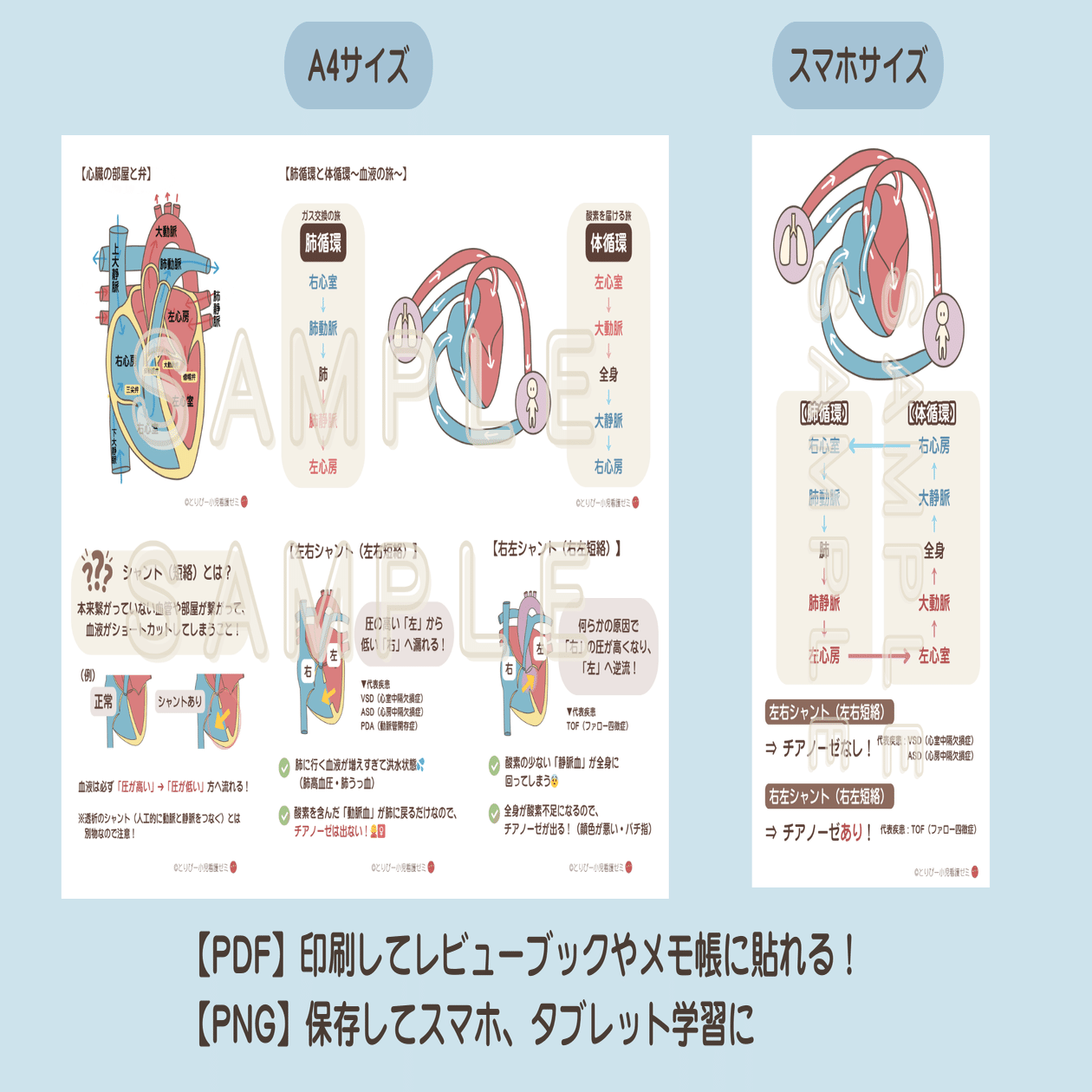 【希少】血液循環療法講習録 希少】血液循環療法講習録 V11861235 新 発売