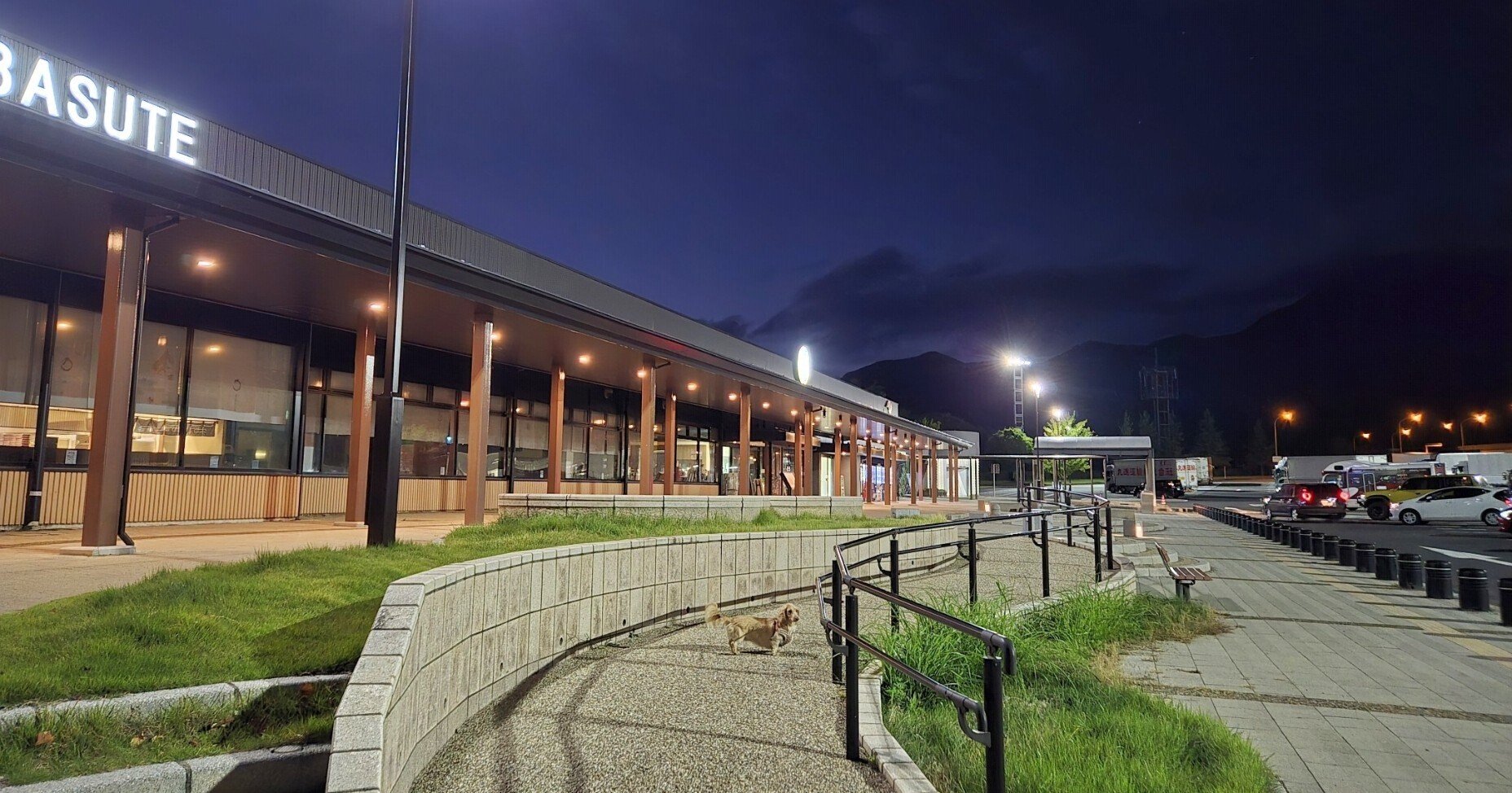 ダックスが行く、姨捨の夜景と飛騨高山。｜ふじむらなつき