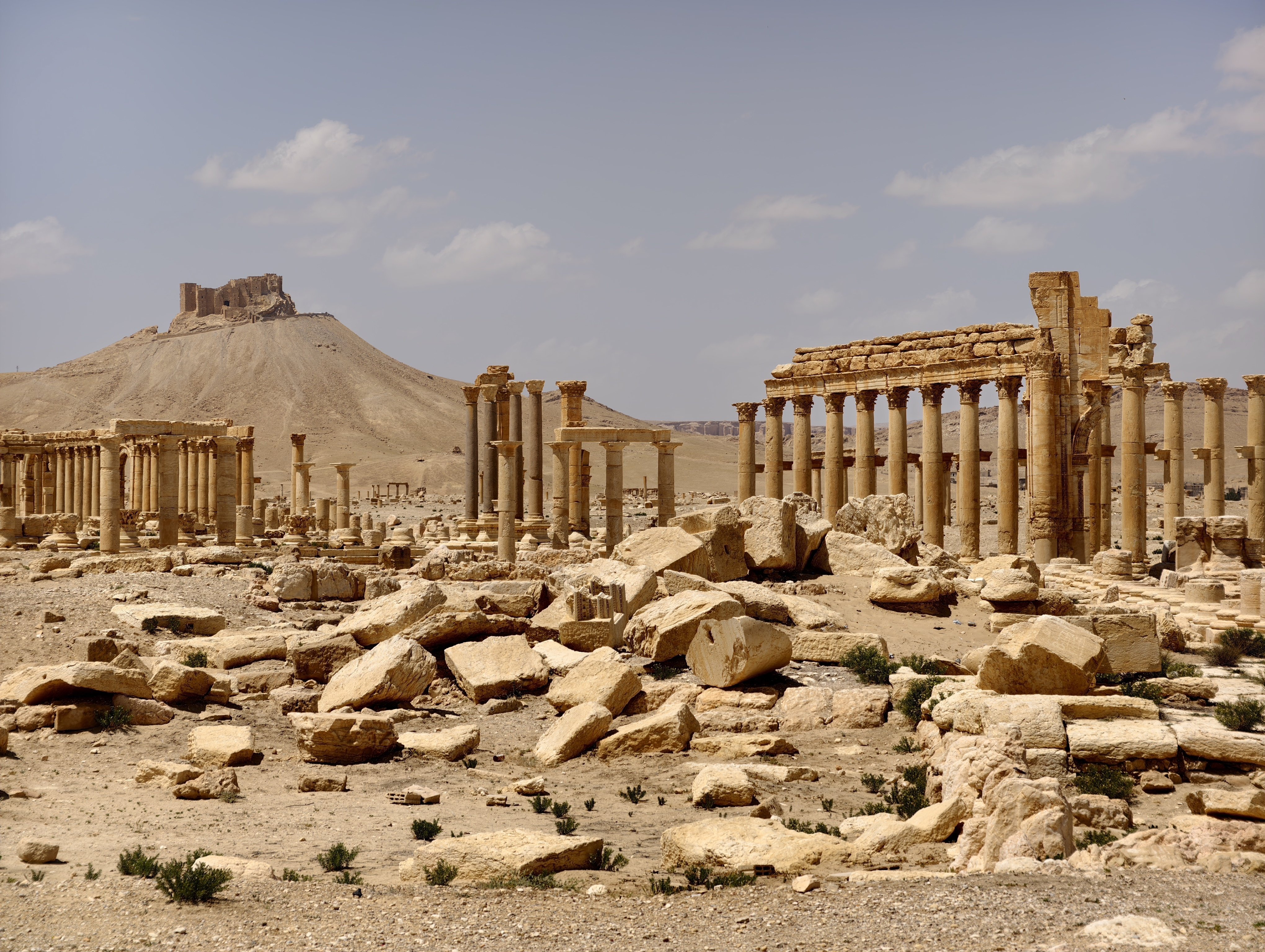 中東旅行記 part6 念願のパルミラ遺跡｜たっかー