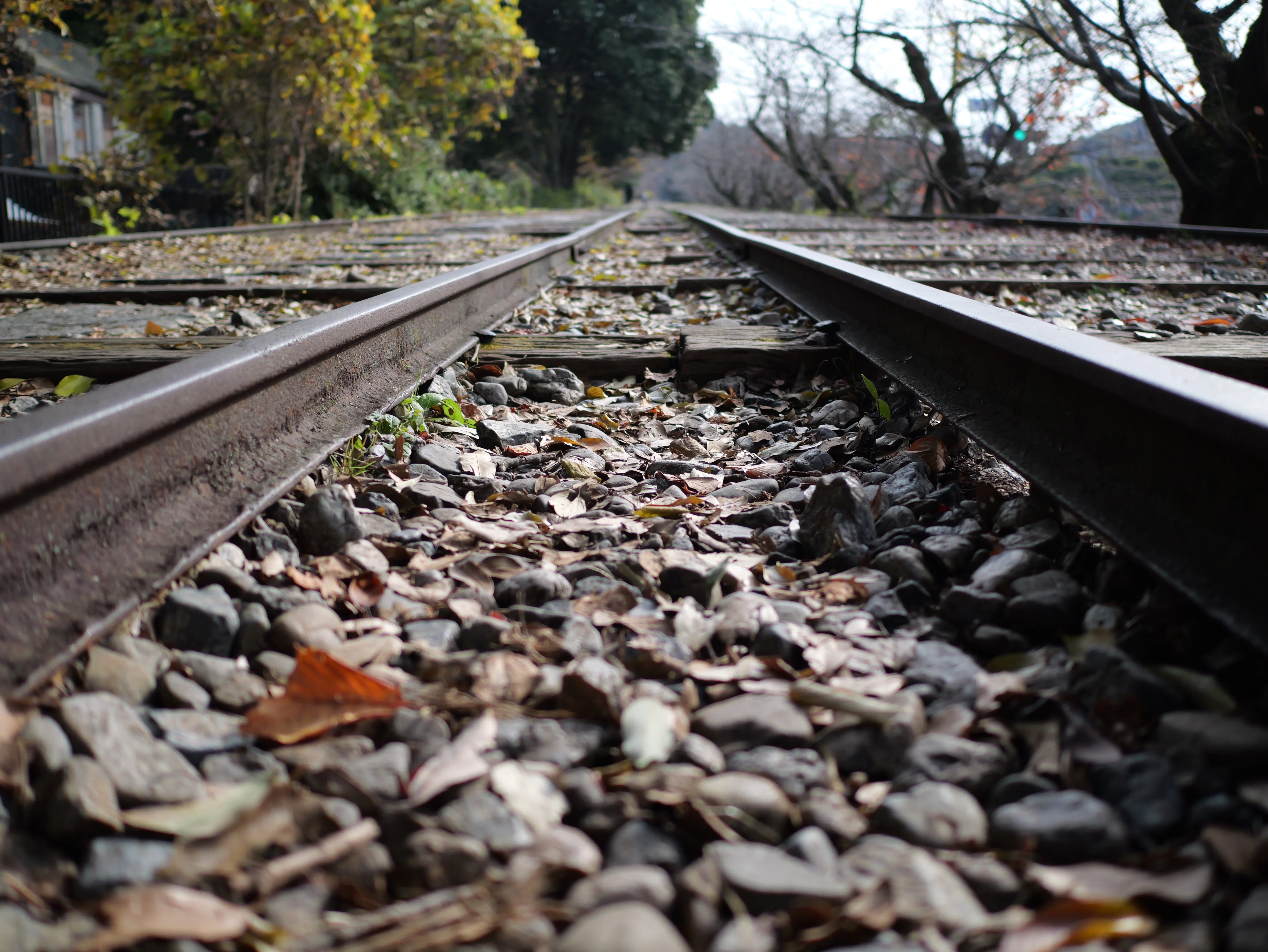 LEICA DG SUMMILUX 15mm / F1.7 ASPH. 【Photo Journey #17】｜LUMIX